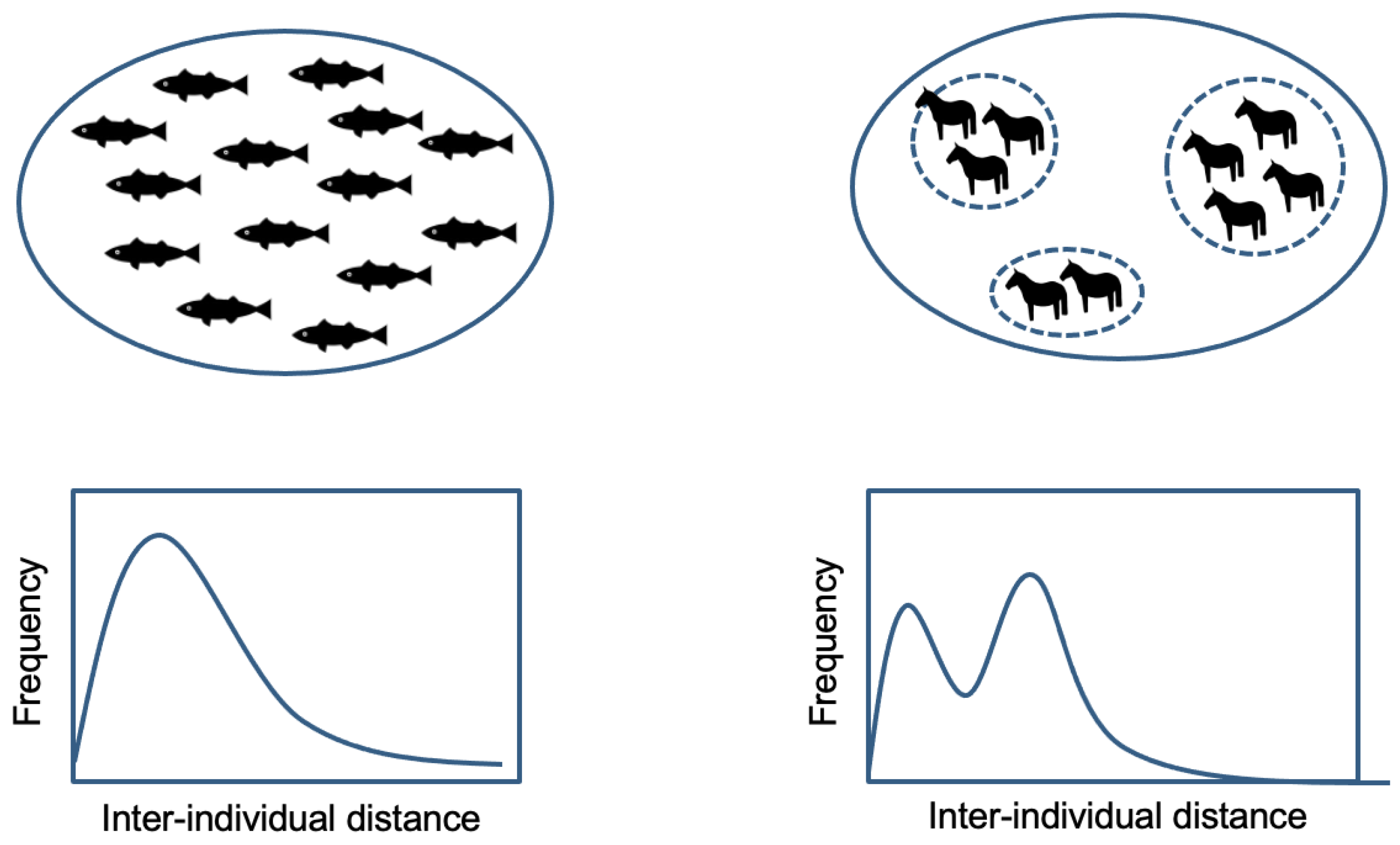 Animals 13 01911 g002