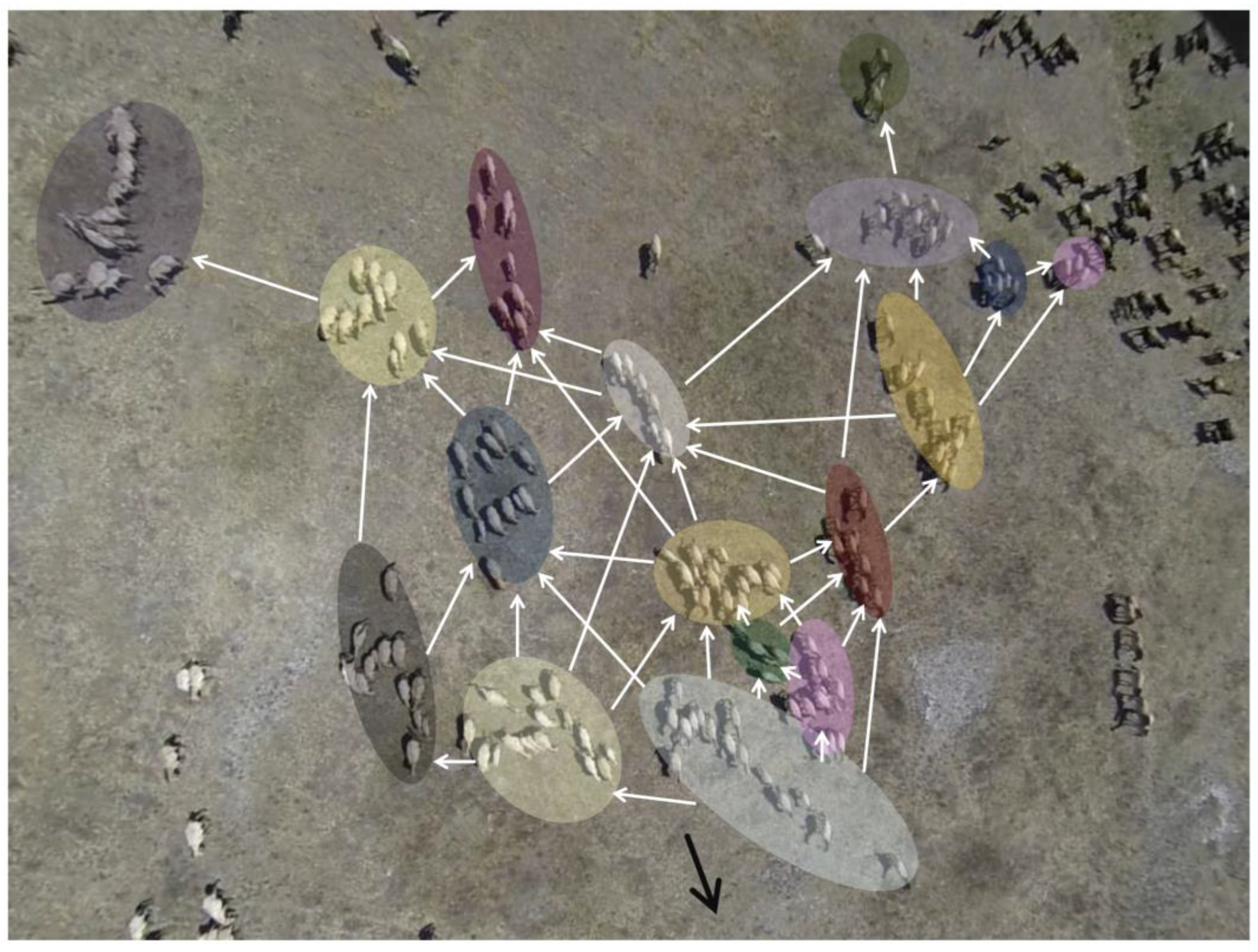 Animals 13 01911 g003