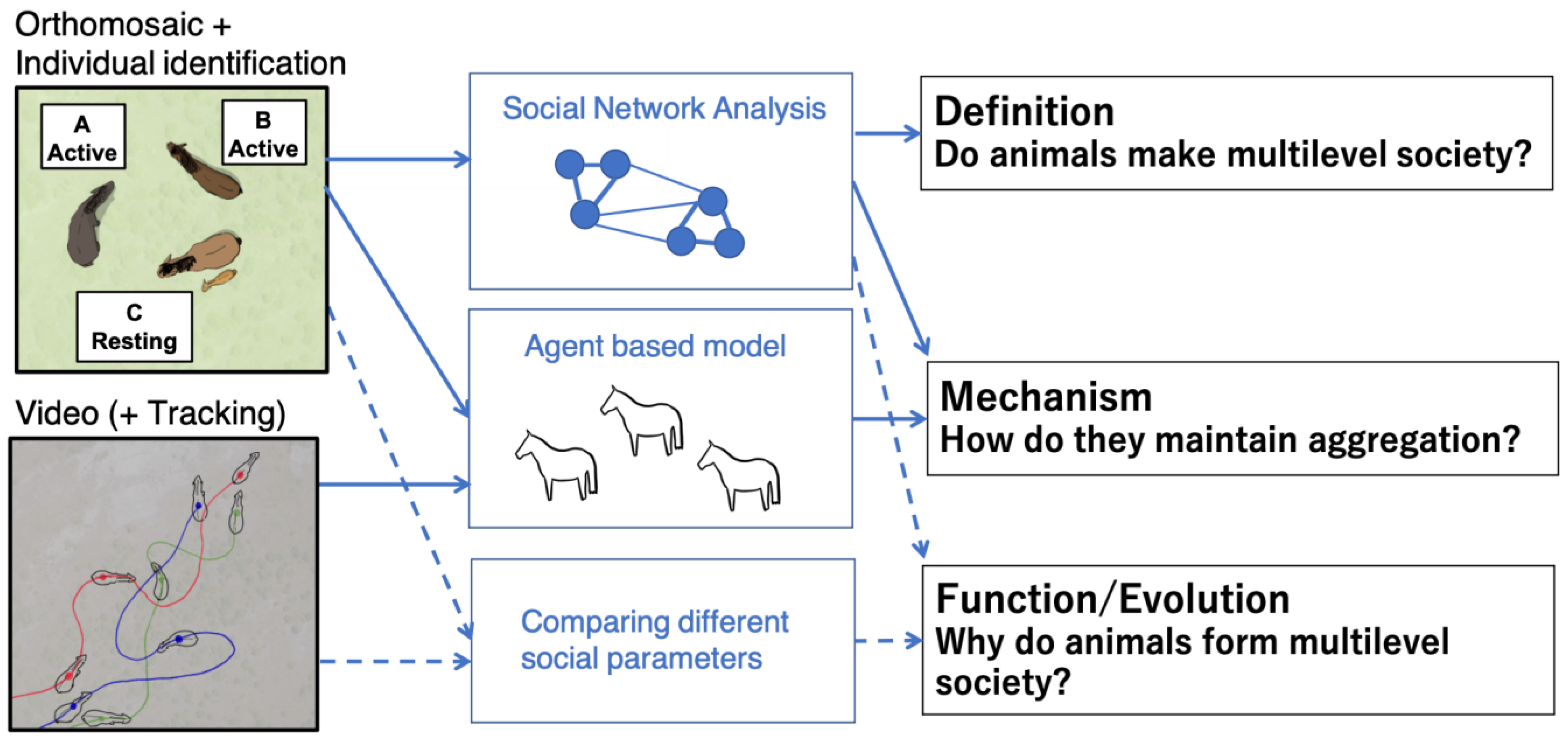 Animals 13 01911 g004