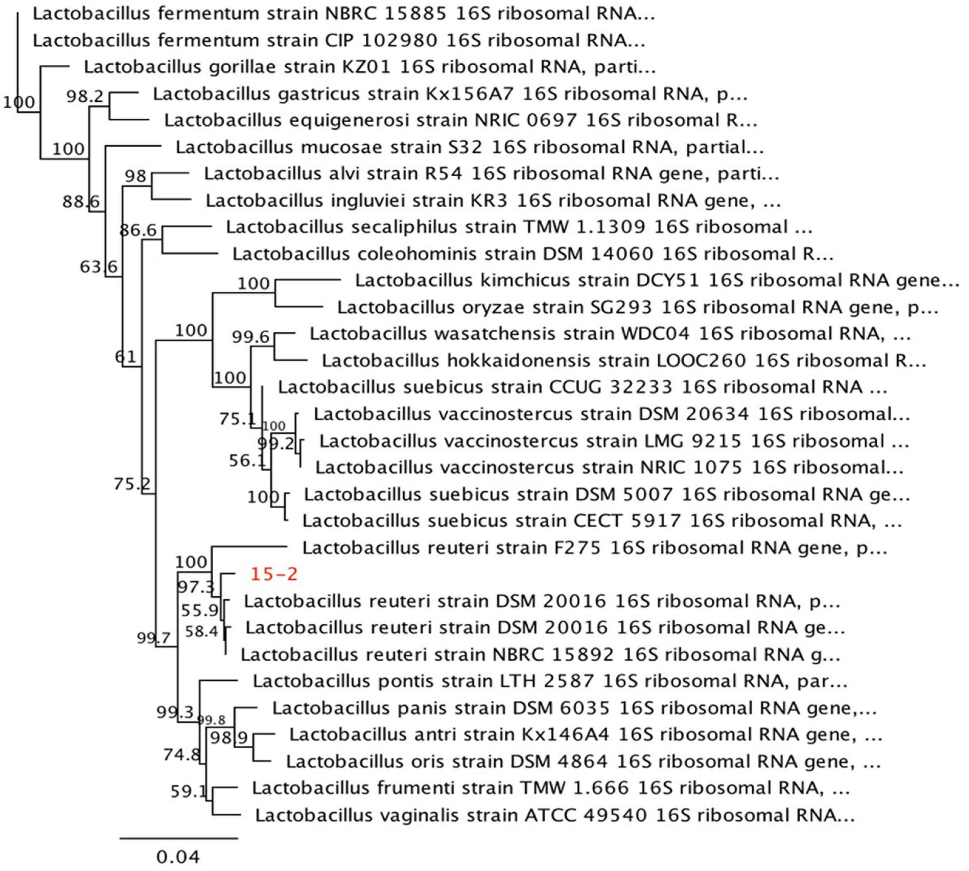 Animals 13 01915 g003 Animals 13 01915 g003