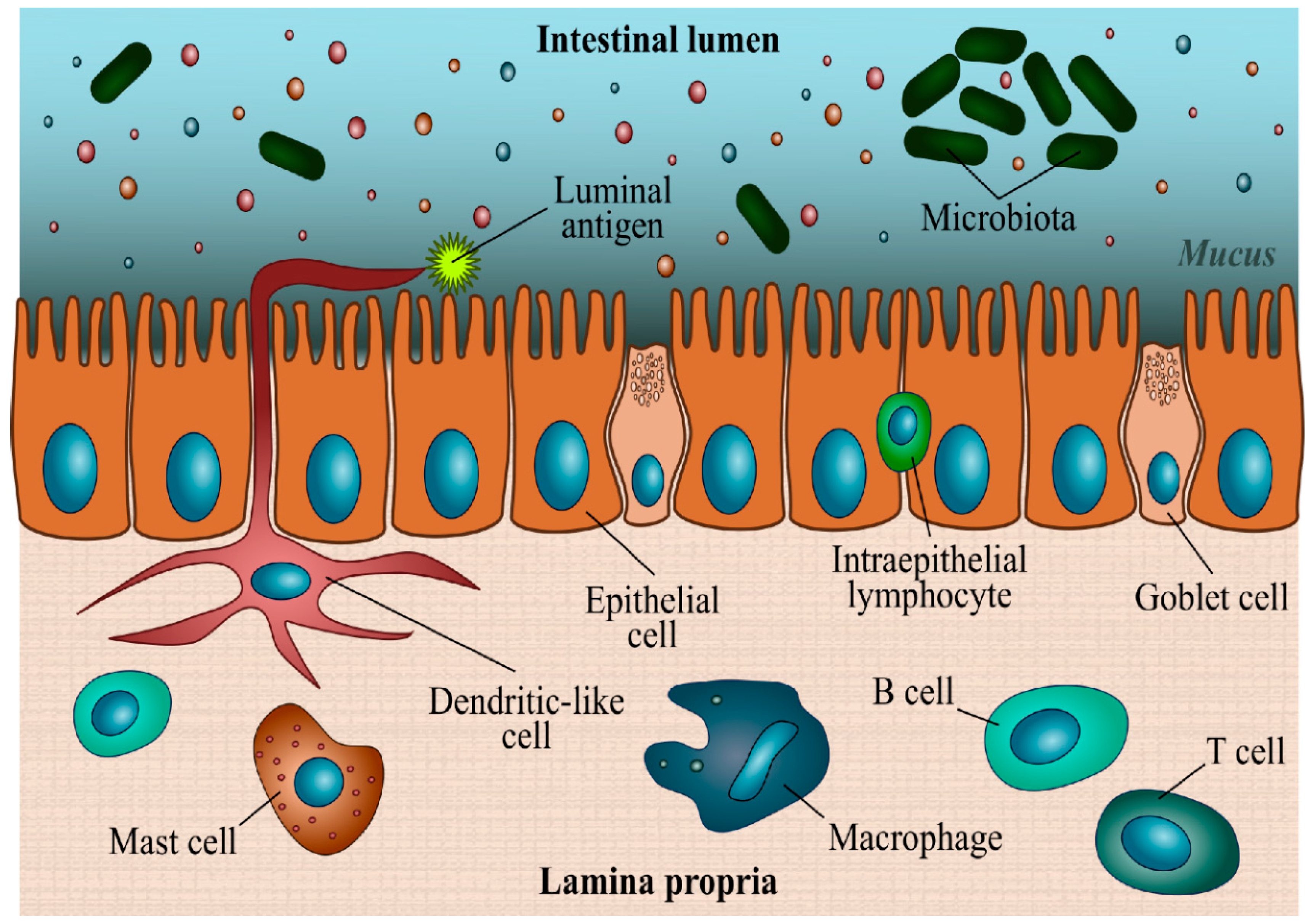 Animals 13 01922 g001 Animals 13 01922 g001