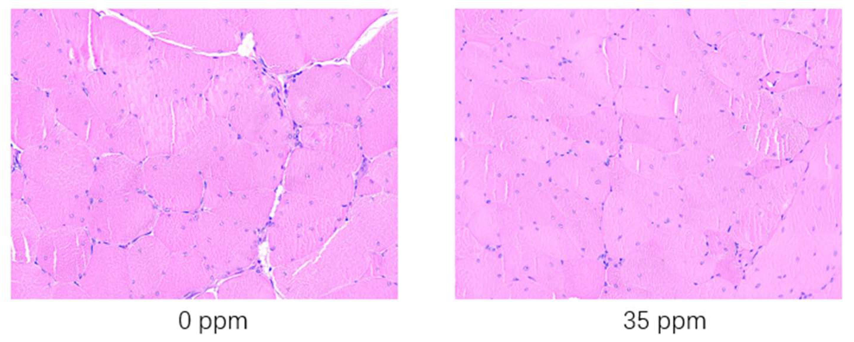 Animals 13 01926 g001 Animals 13 01926 g001