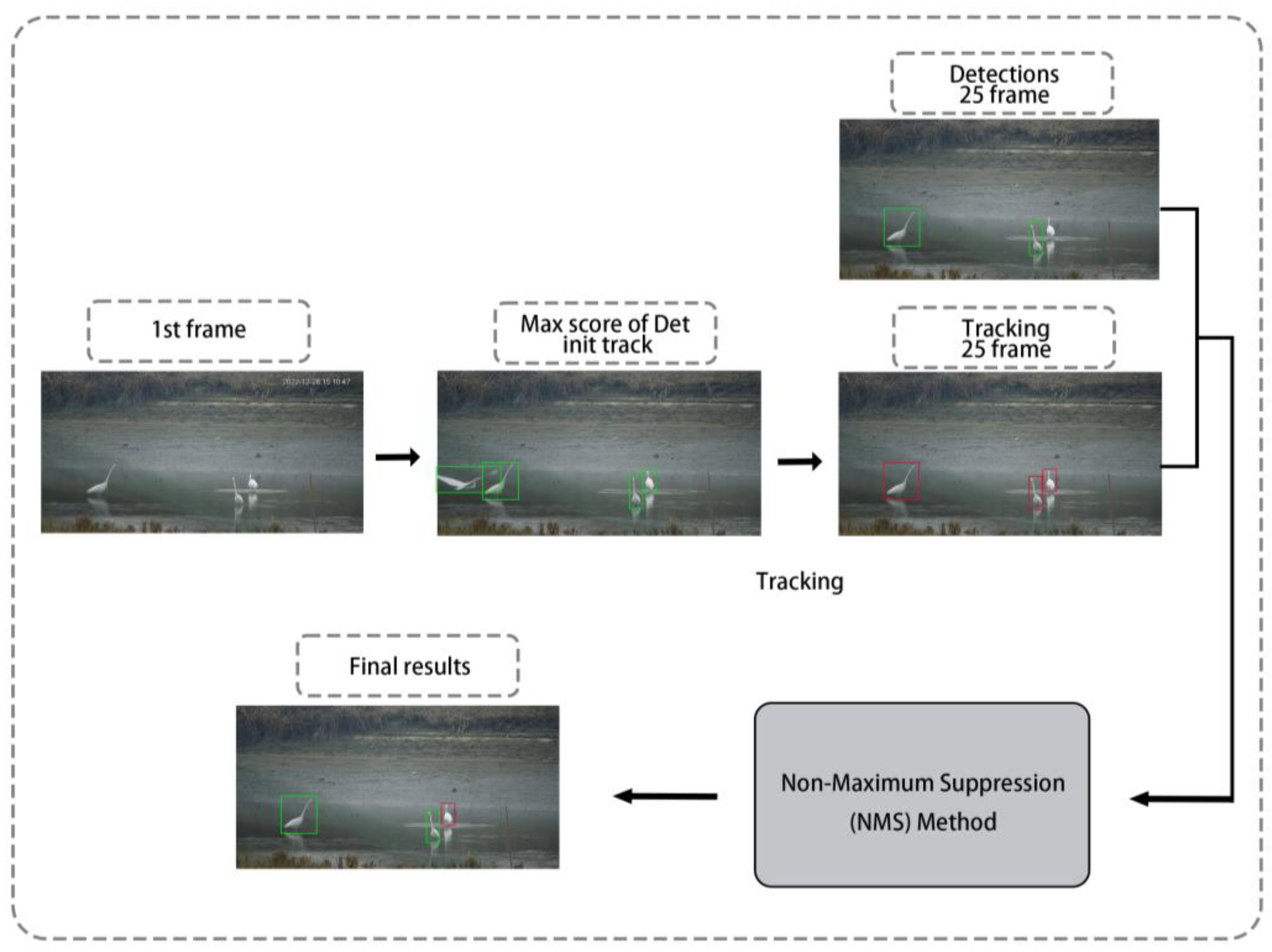 Animals 13 01929 g006 Animals 13 01929 g006