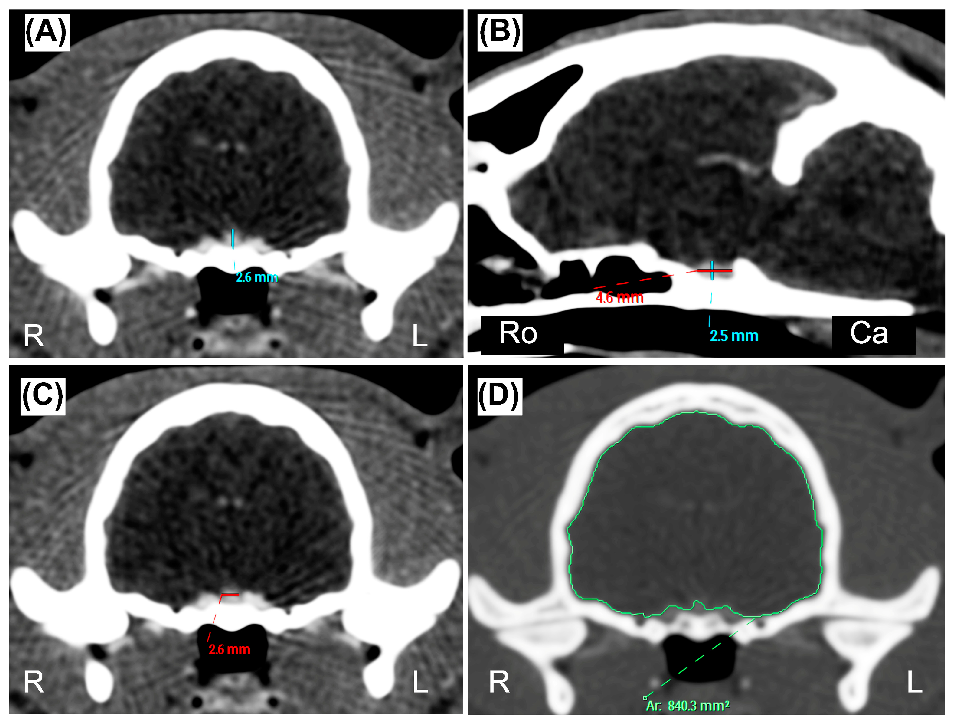 Animals 13 01935 g001 Animals 13 01935 g001