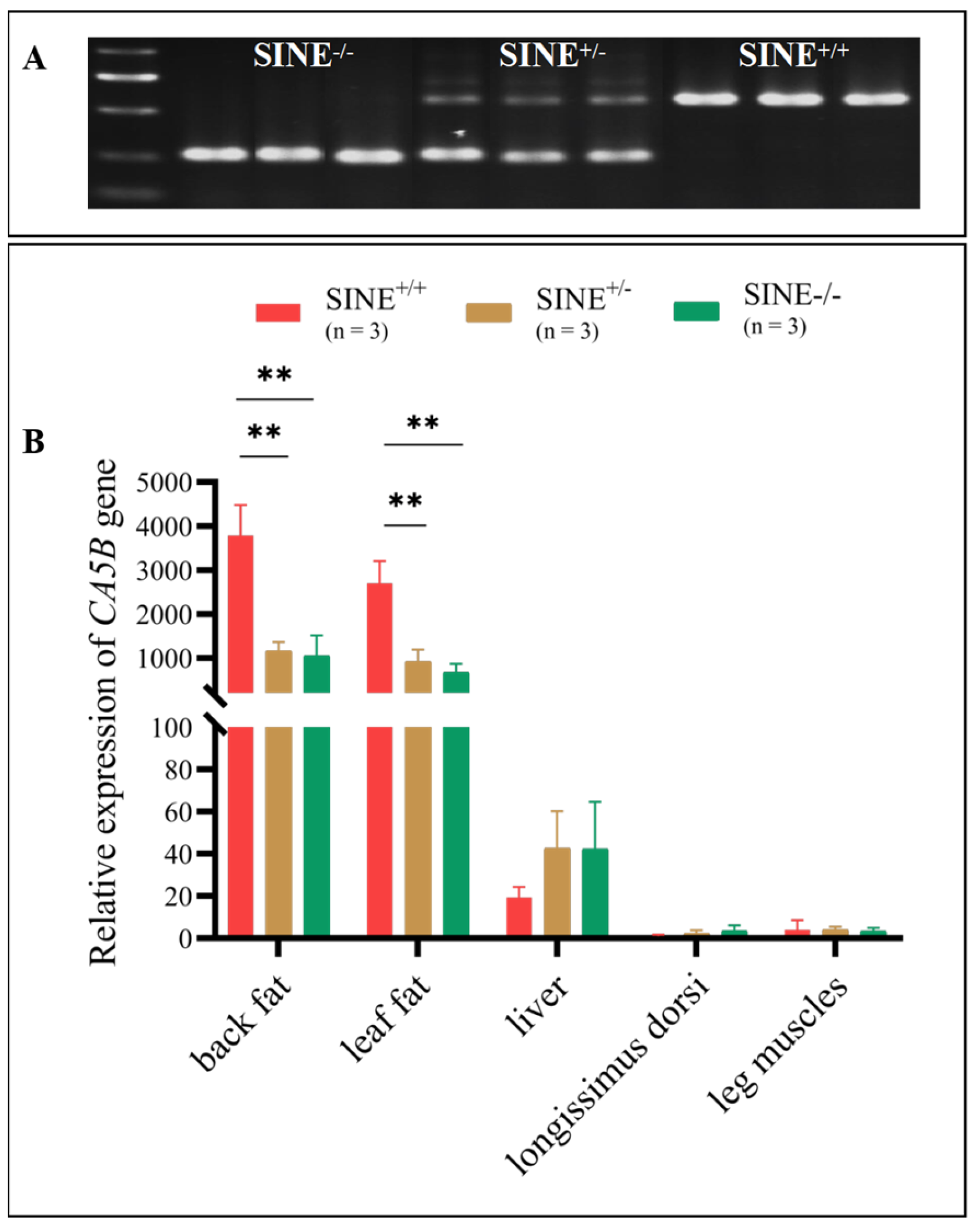 Animals 13 01942 g002
