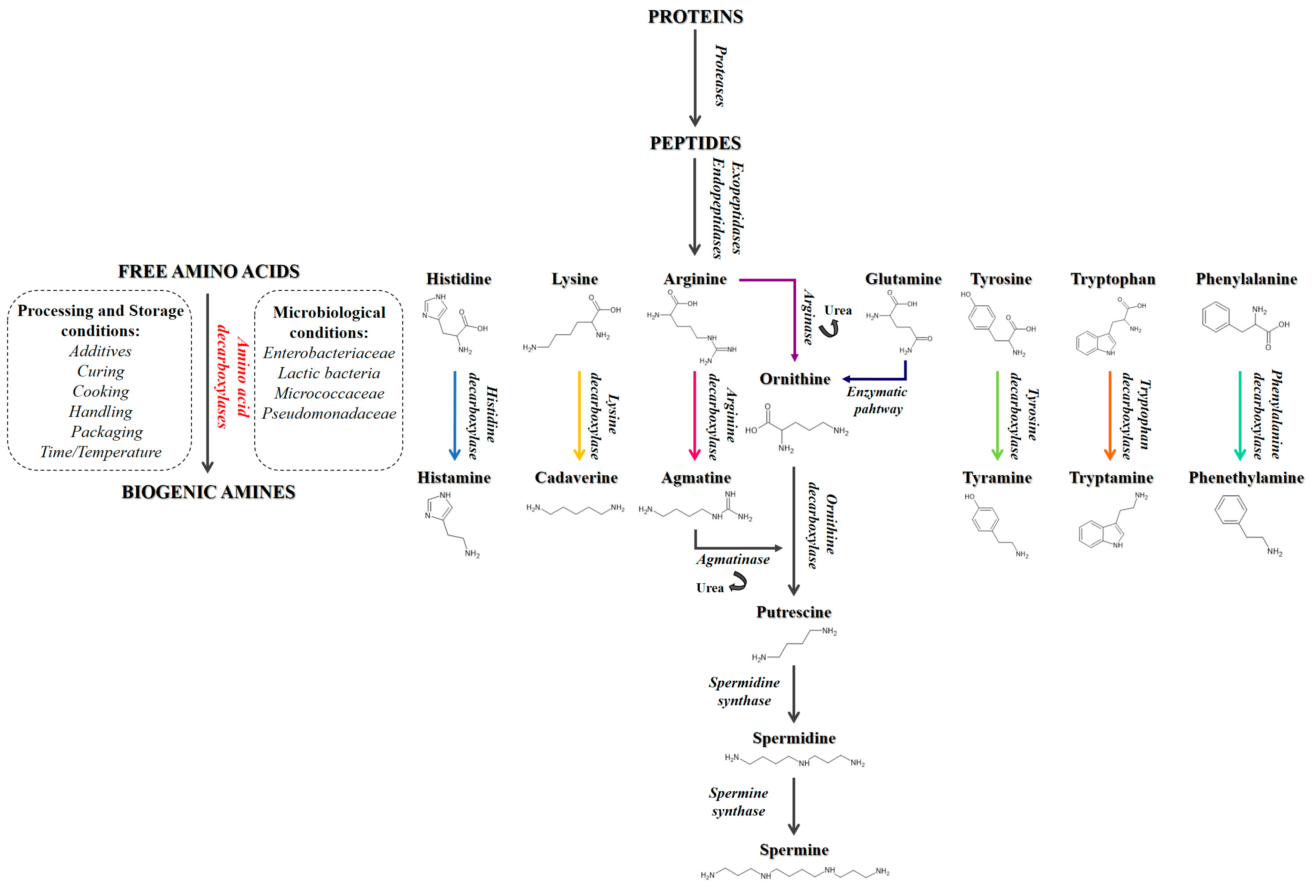 Biogenic Amine Content Analysis of Three ChickenBased Dry Pet Food Formulations