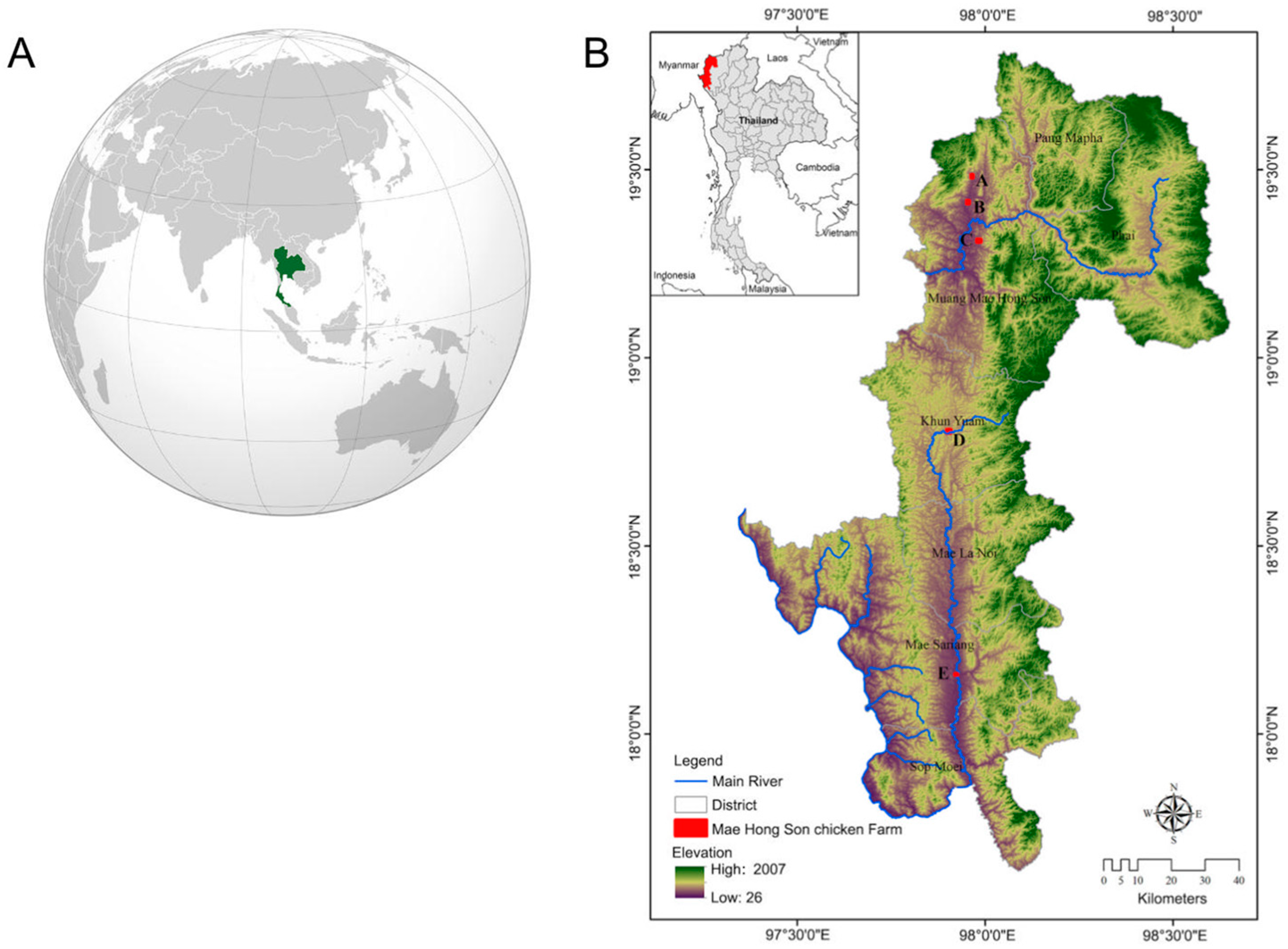 Animals 13 01949 g002 Animals 13 01949 g002