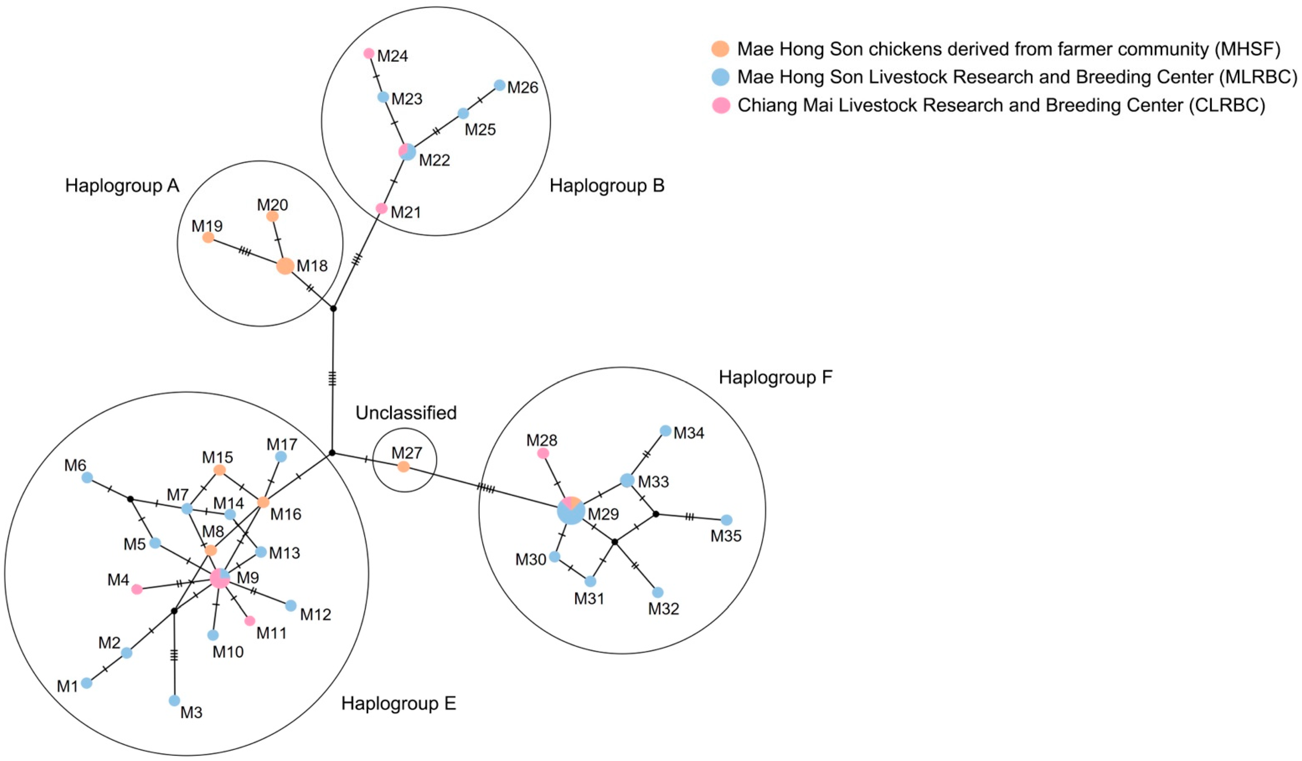 Animals 13 01949 g004 Animals 13 01949 g004