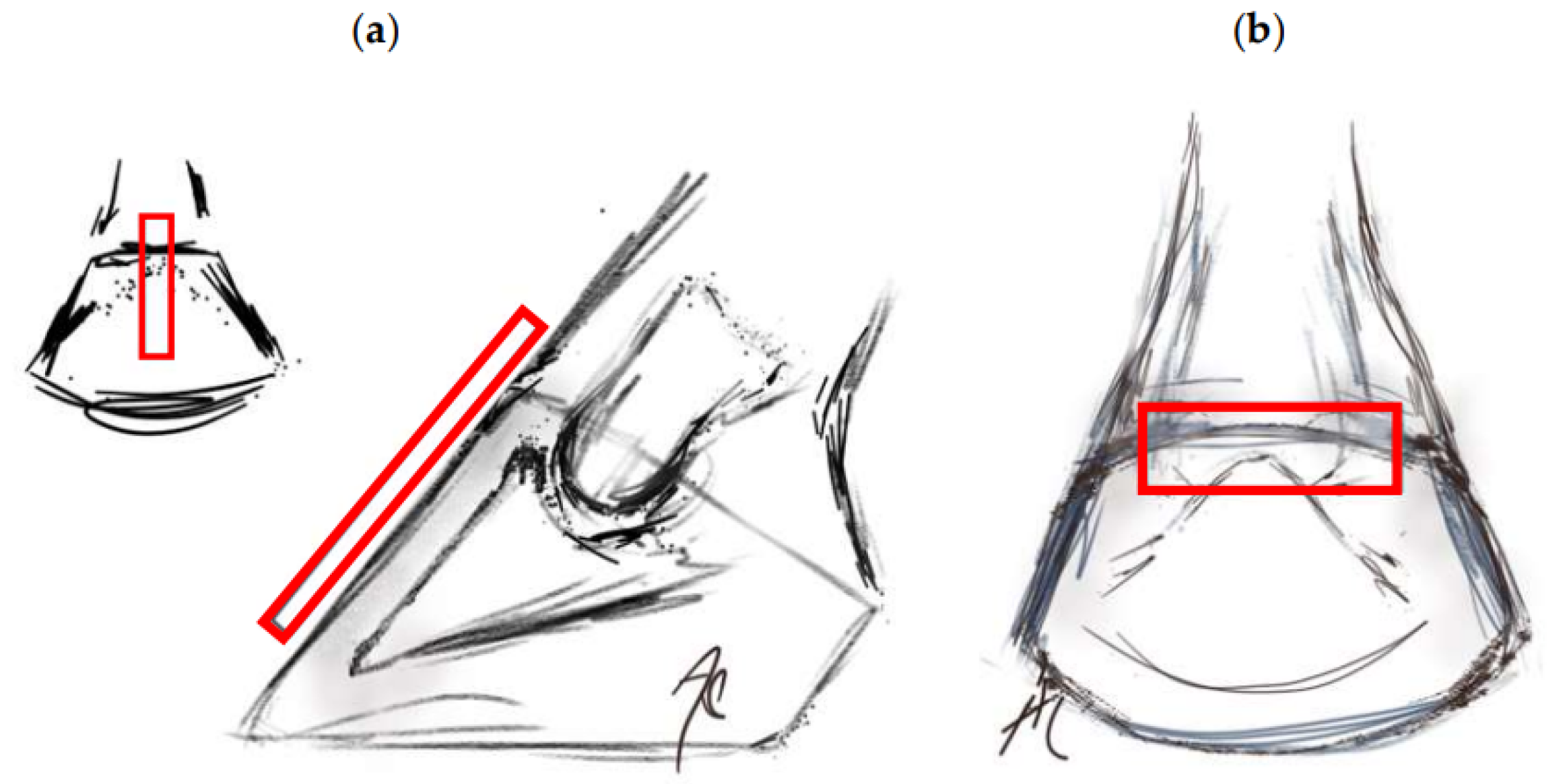 Animals 13 01951 g003 Animals 13 01951 g003