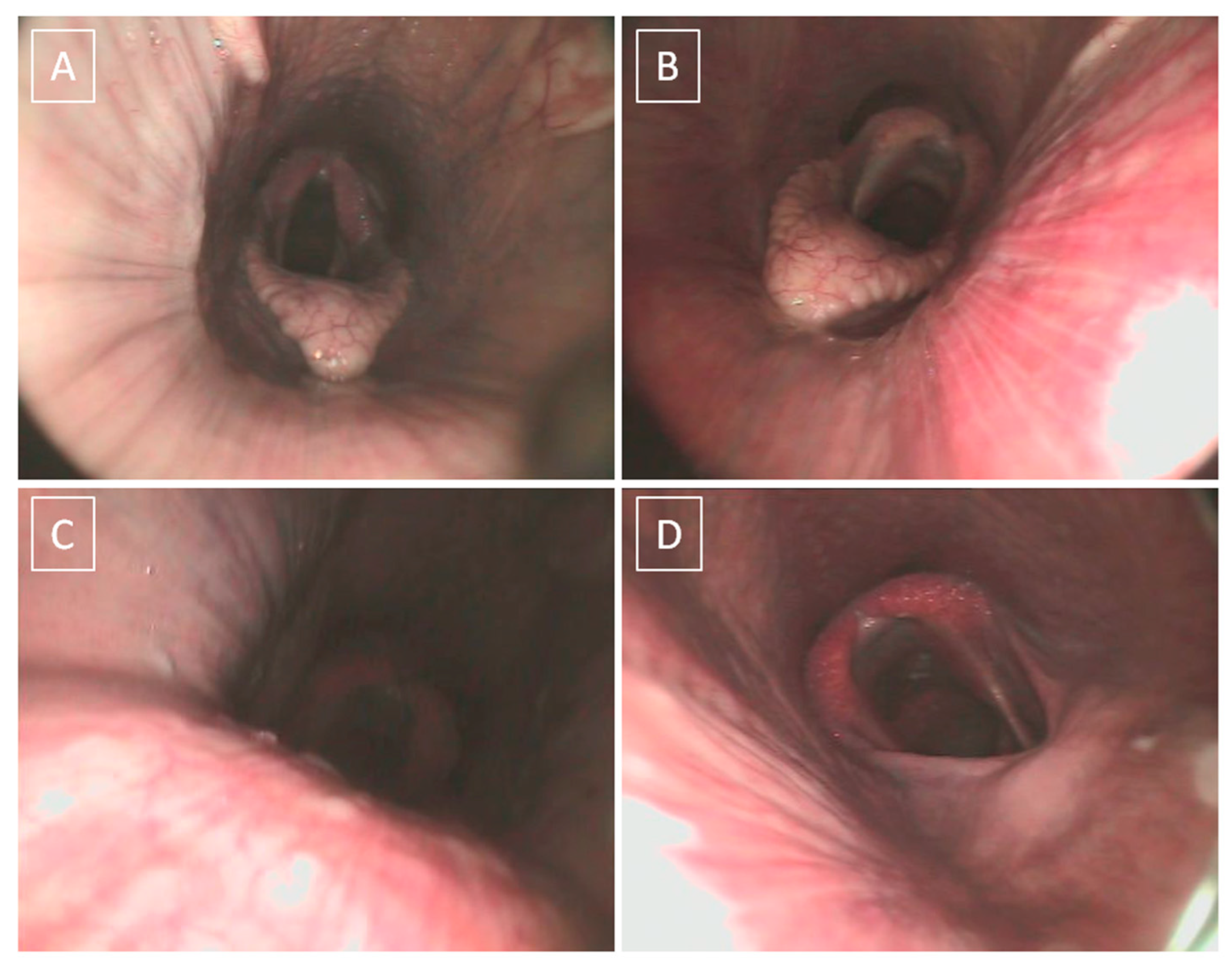 Animals 13 01962 g001