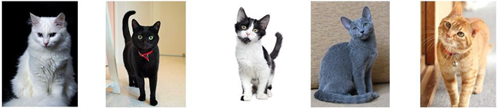 Animals 13 01963 i001 Animals 13 01963 i001