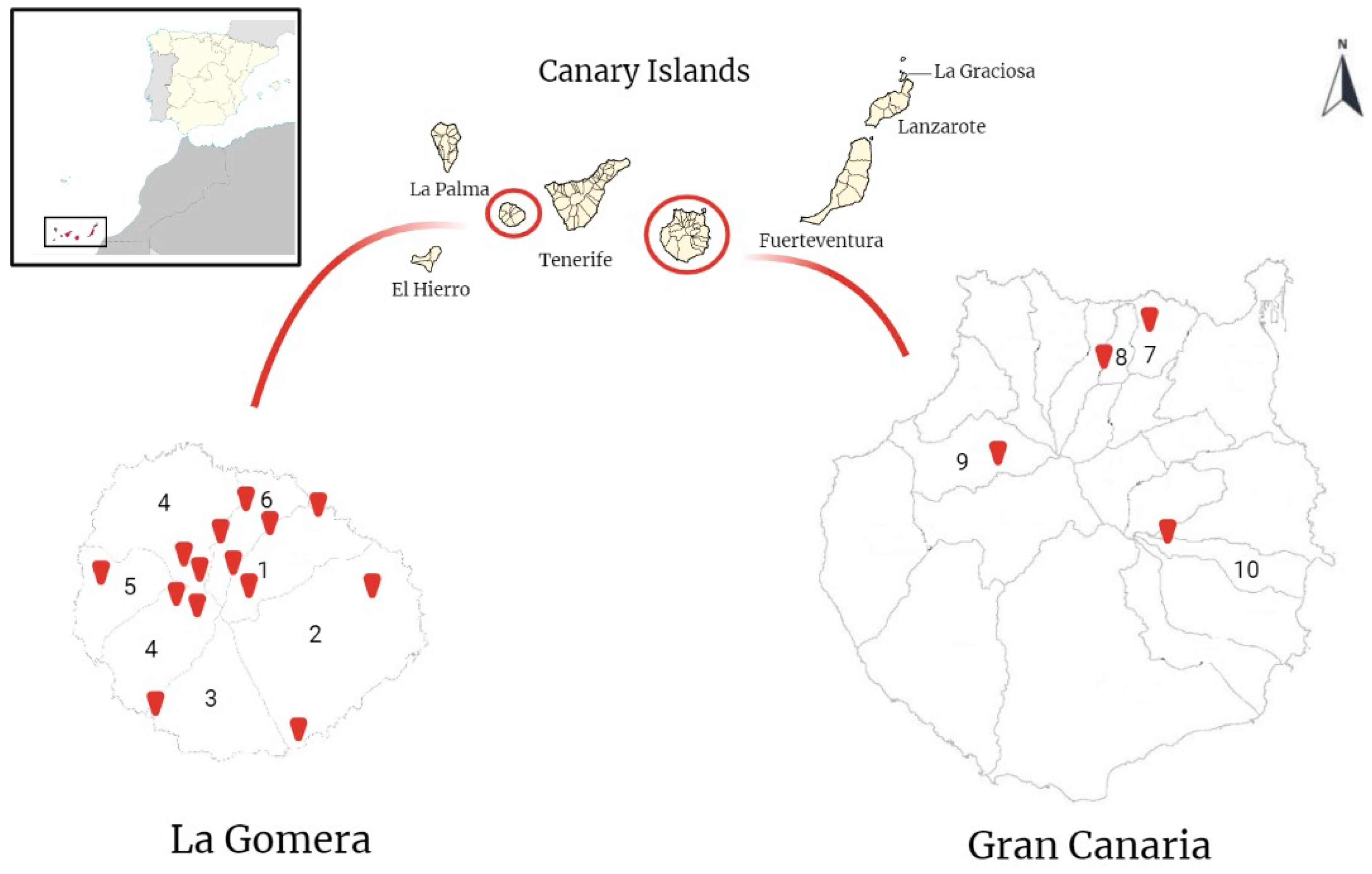 Animals 13 01969 g001 Animals 13 01969 g001