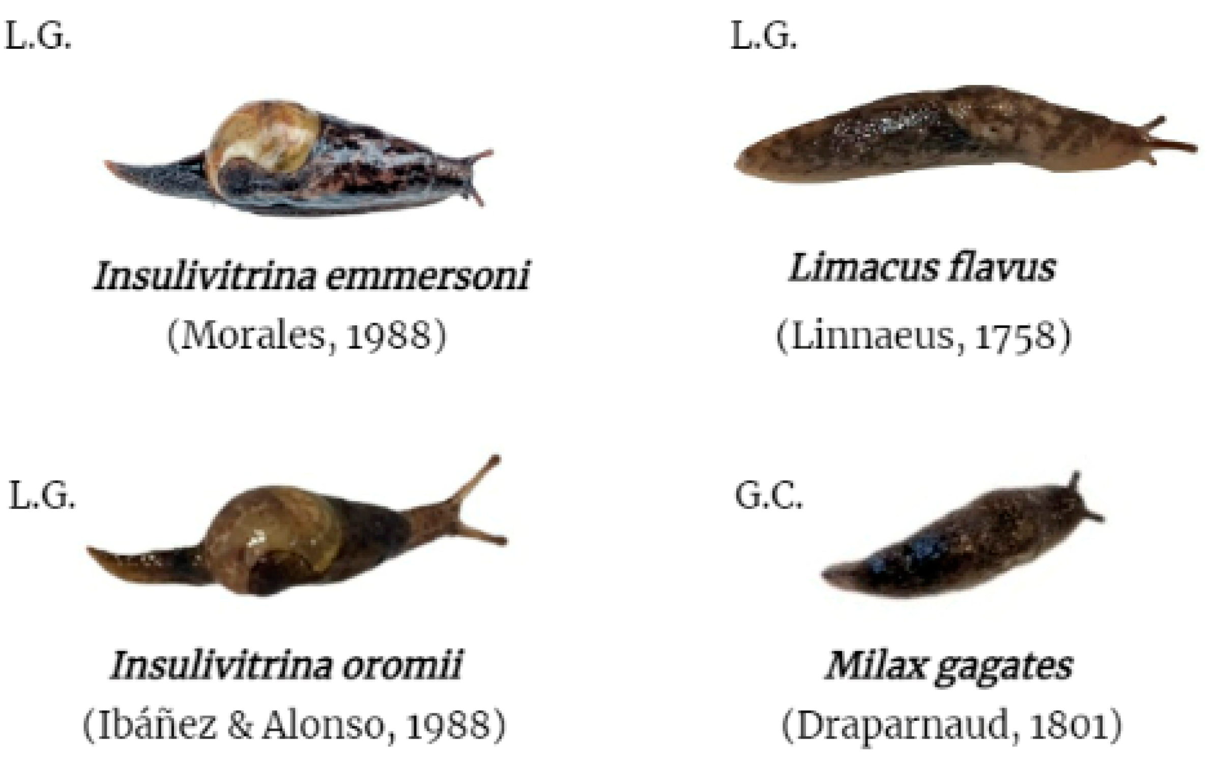 Animals 13 01969 g002 Animals 13 01969 g002