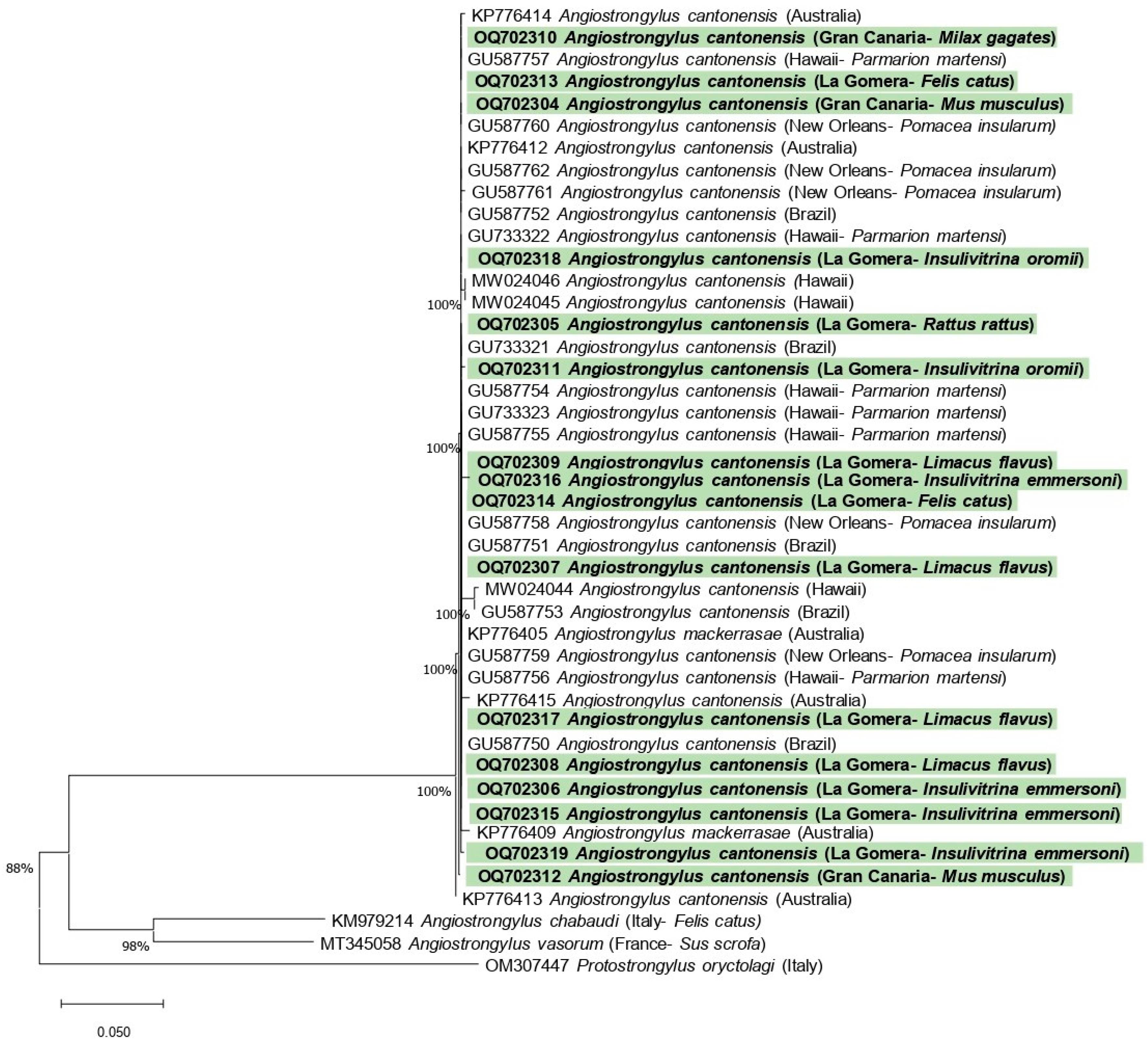 Animals 13 01969 g004 Animals 13 01969 g004