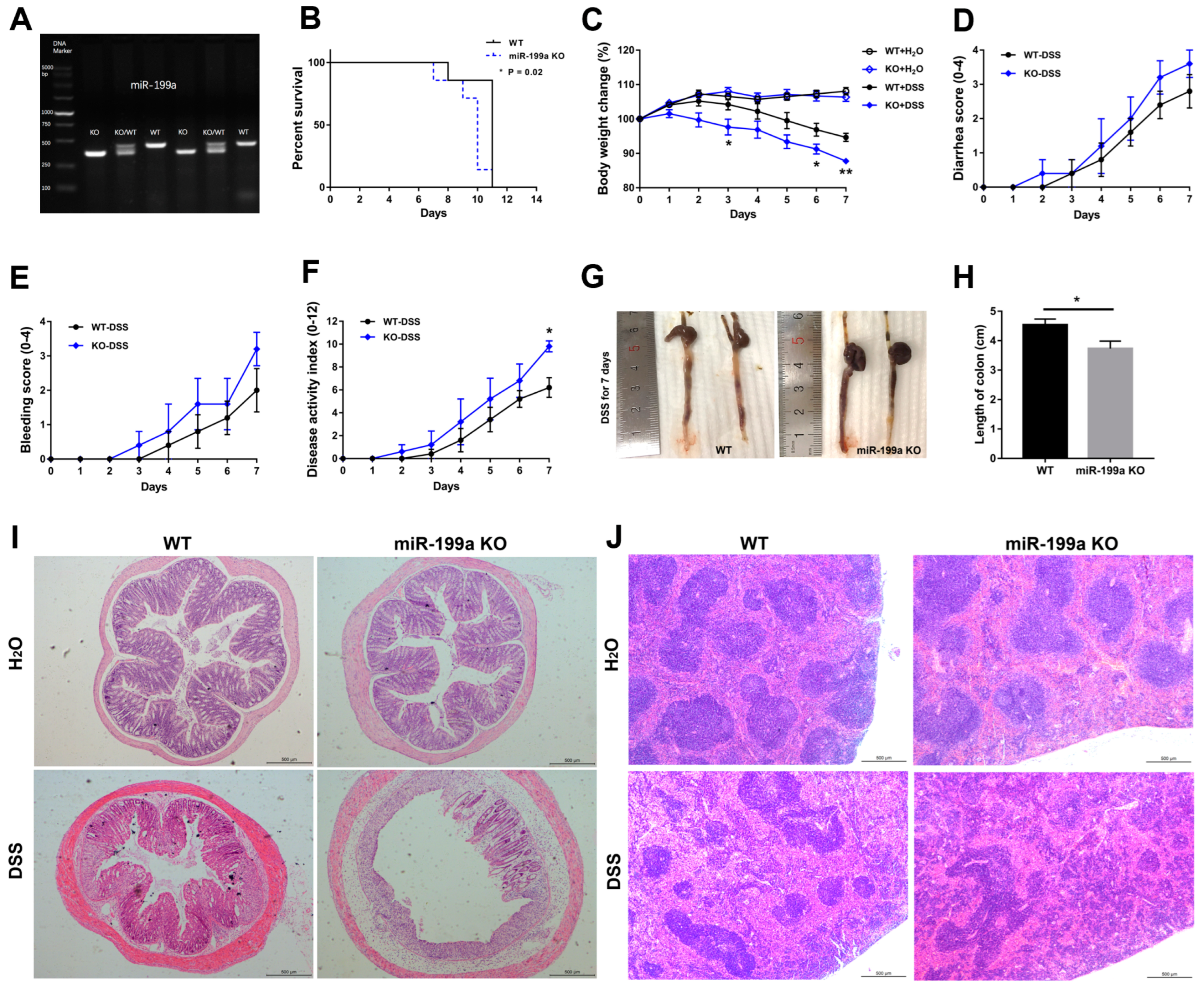 Animals 13 01979 g002