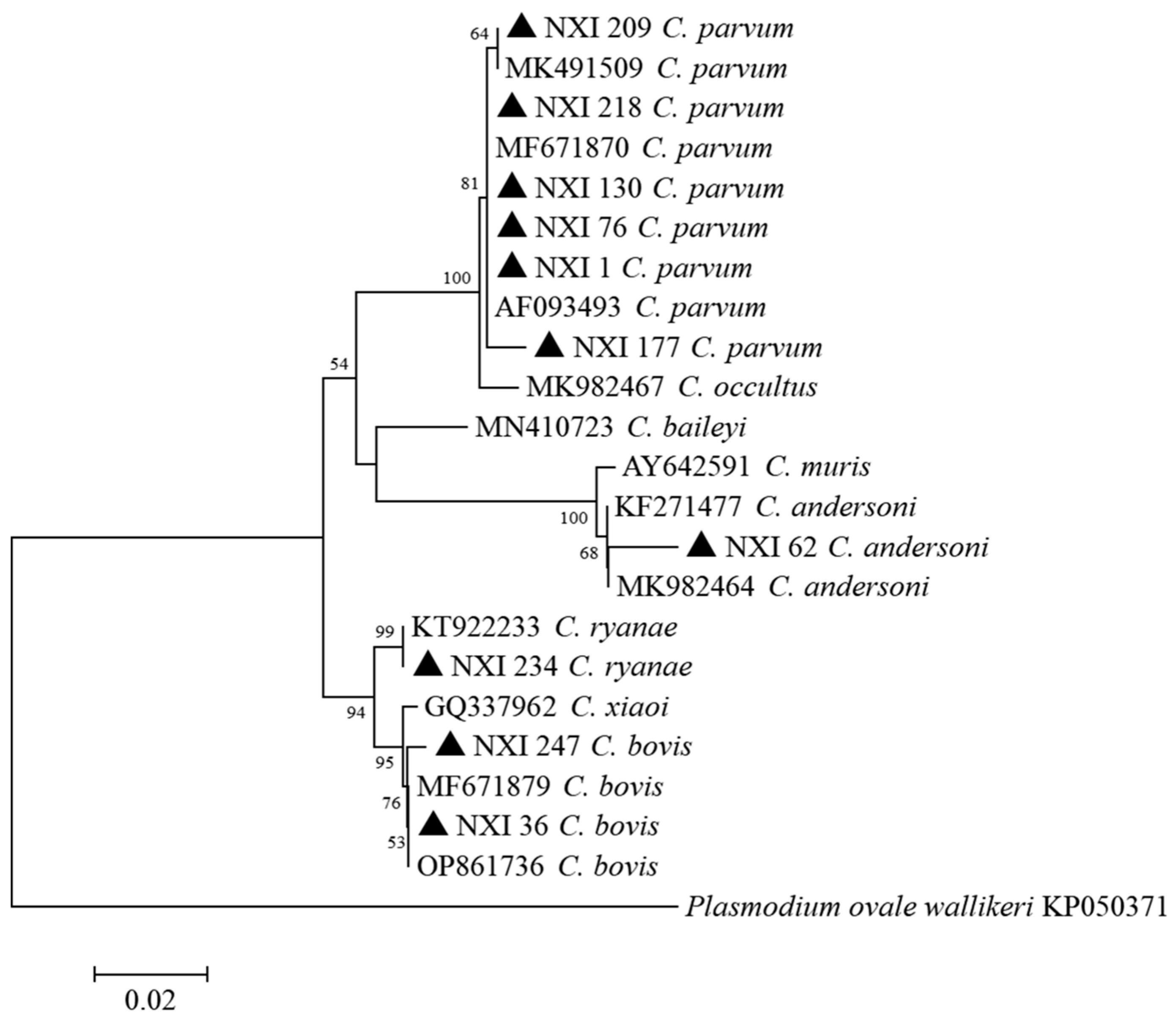 Animals 13 01983 g002