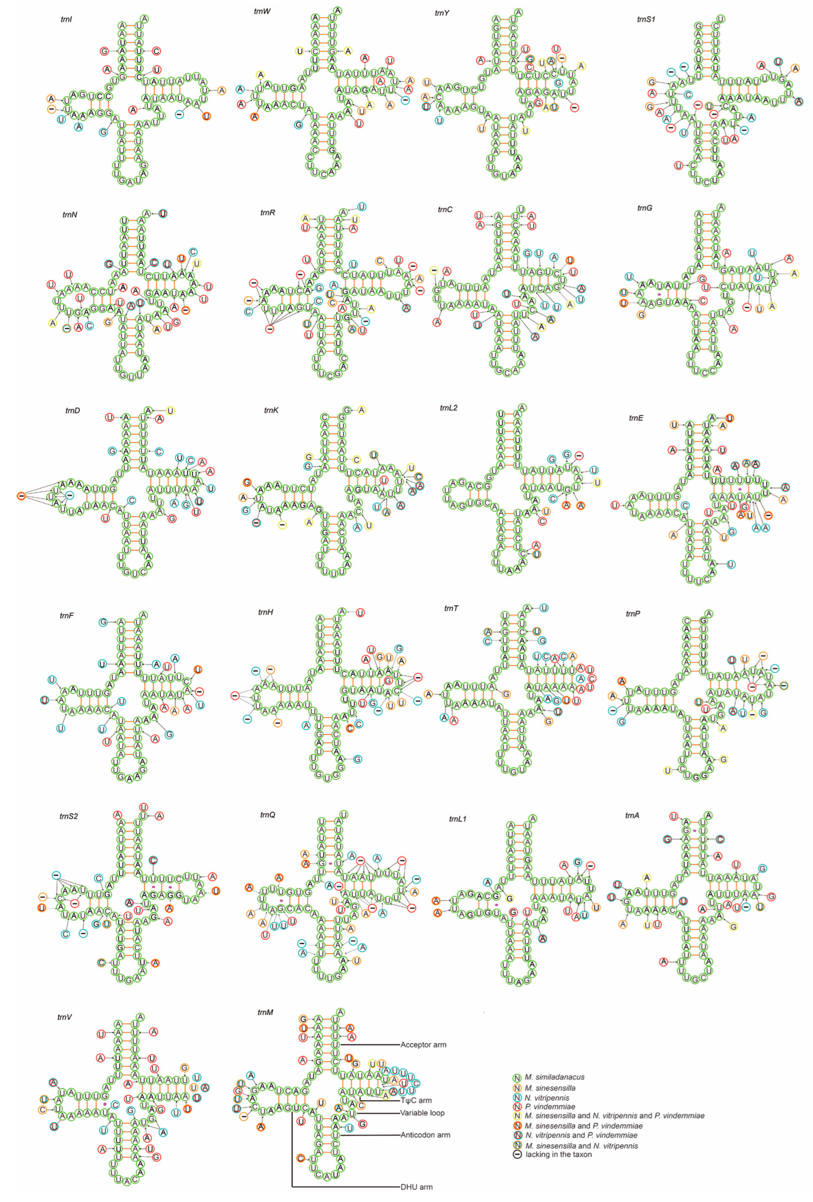 Animals 13 01985 g002 Animals 13 01985 g002