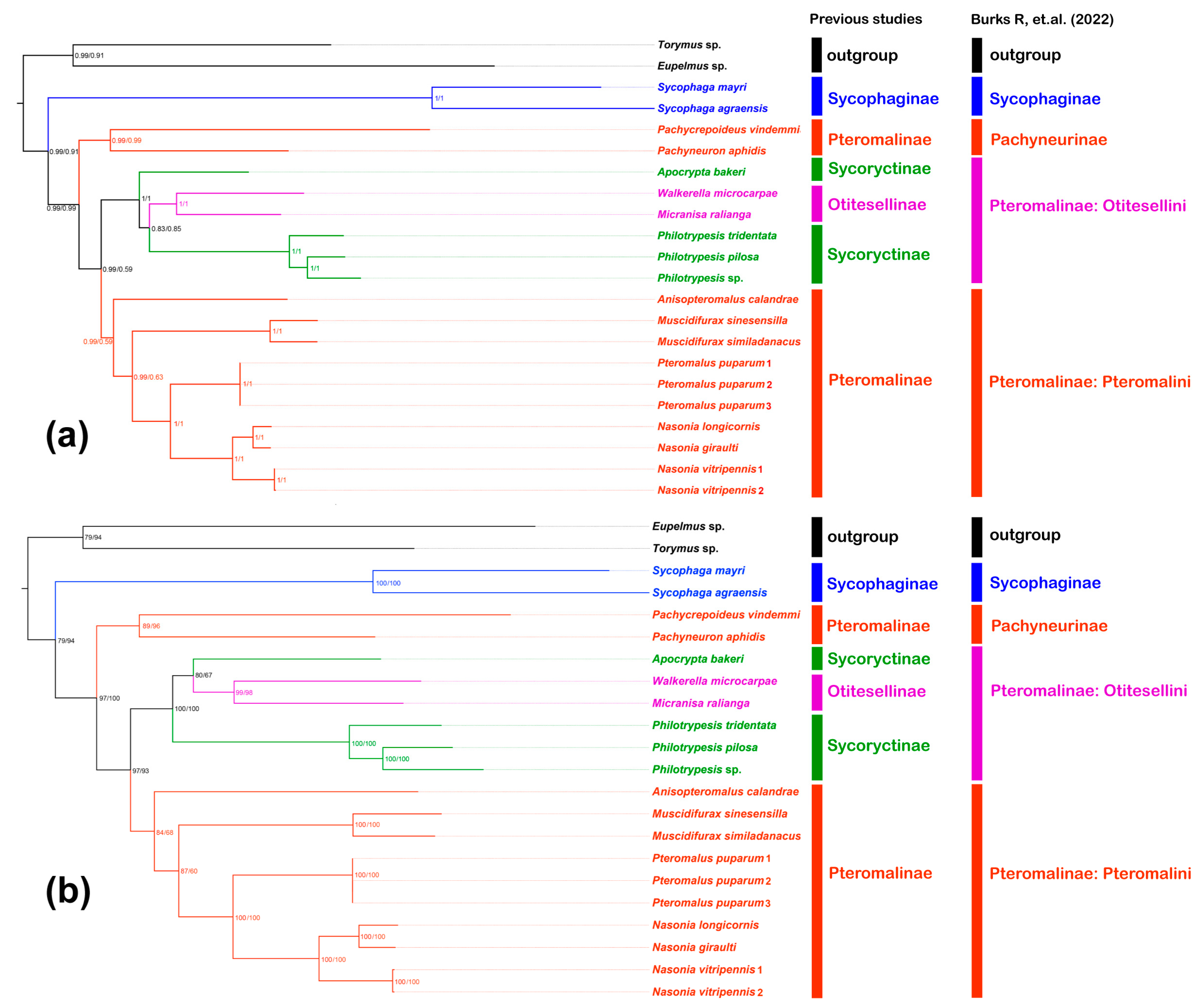 Animals 13 01985 g005 Animals 13 01985 g005