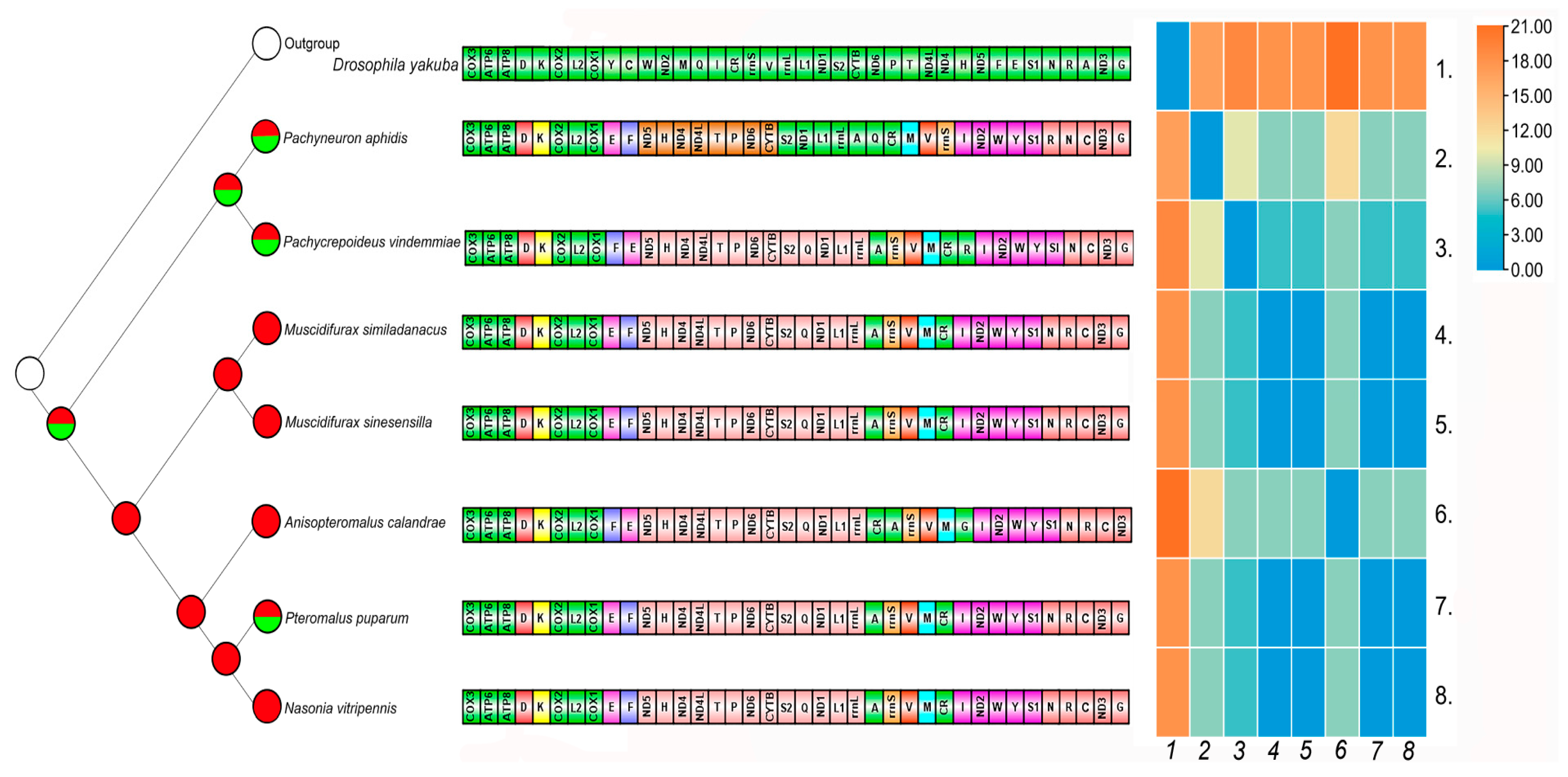 Animals 13 01985 g006 Animals 13 01985 g006