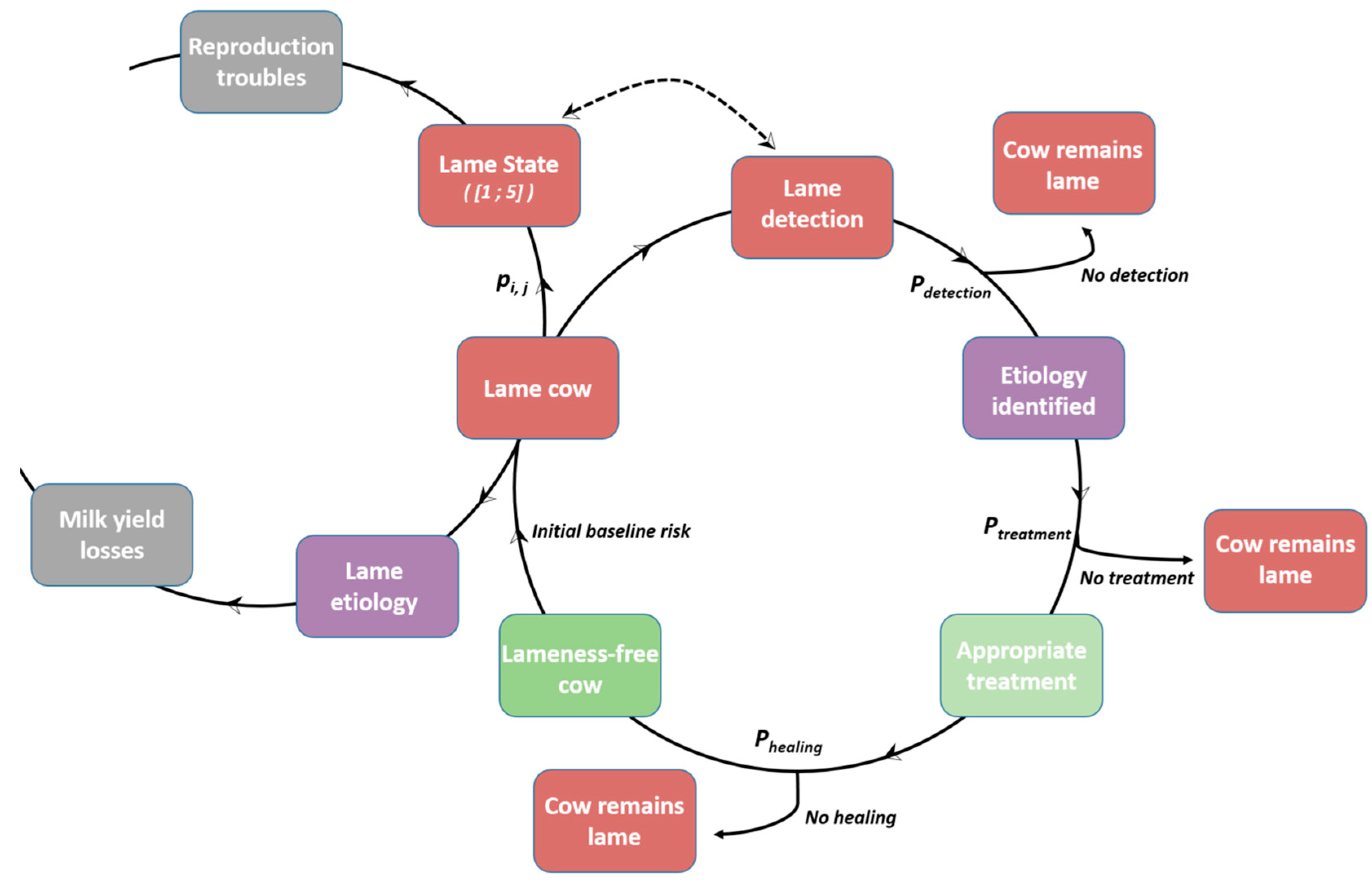 Animals 13 01988 g001 Animals 13 01988 g001