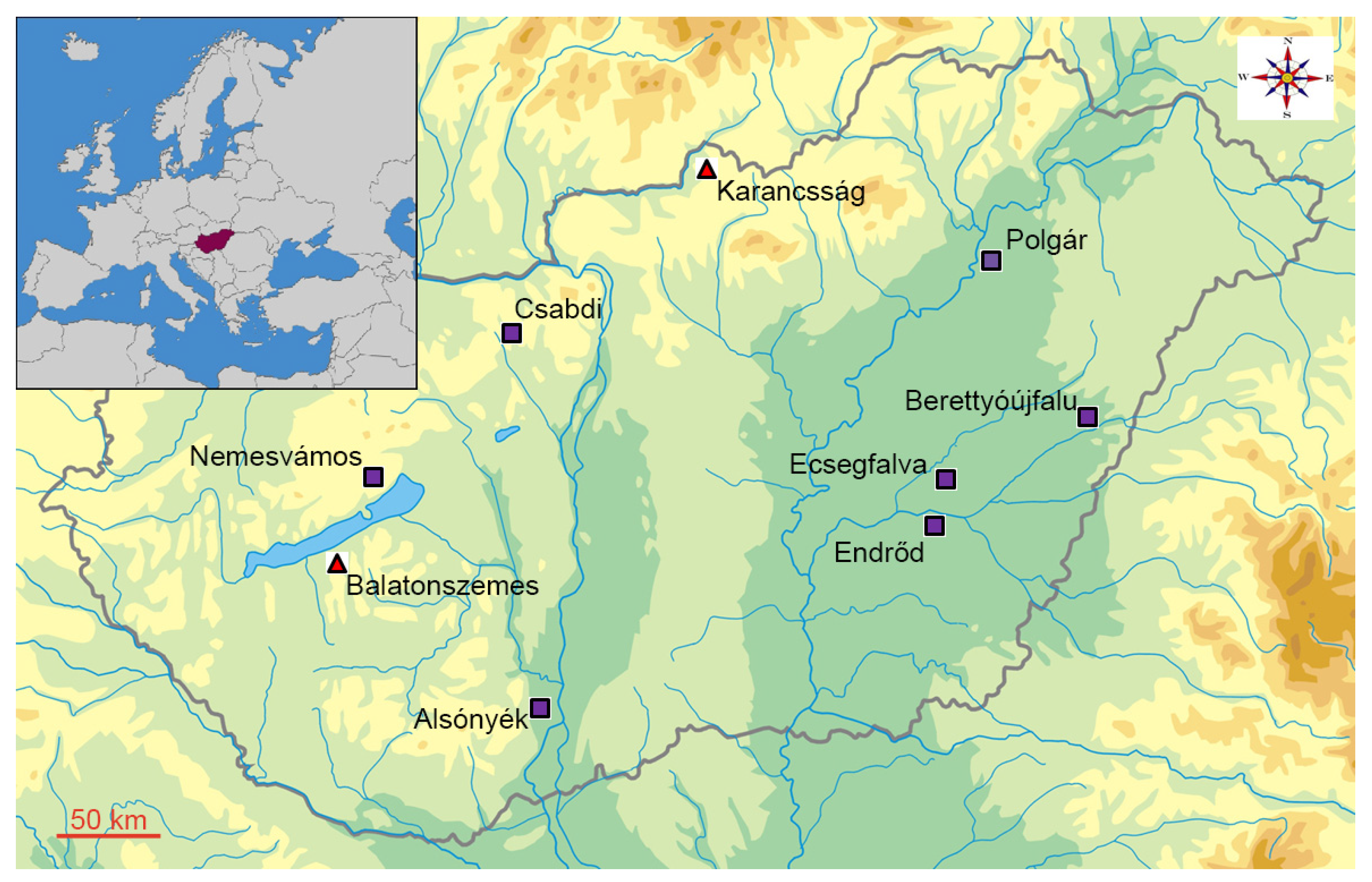 Animals 13 01994 g001 Animals 13 01994 g001