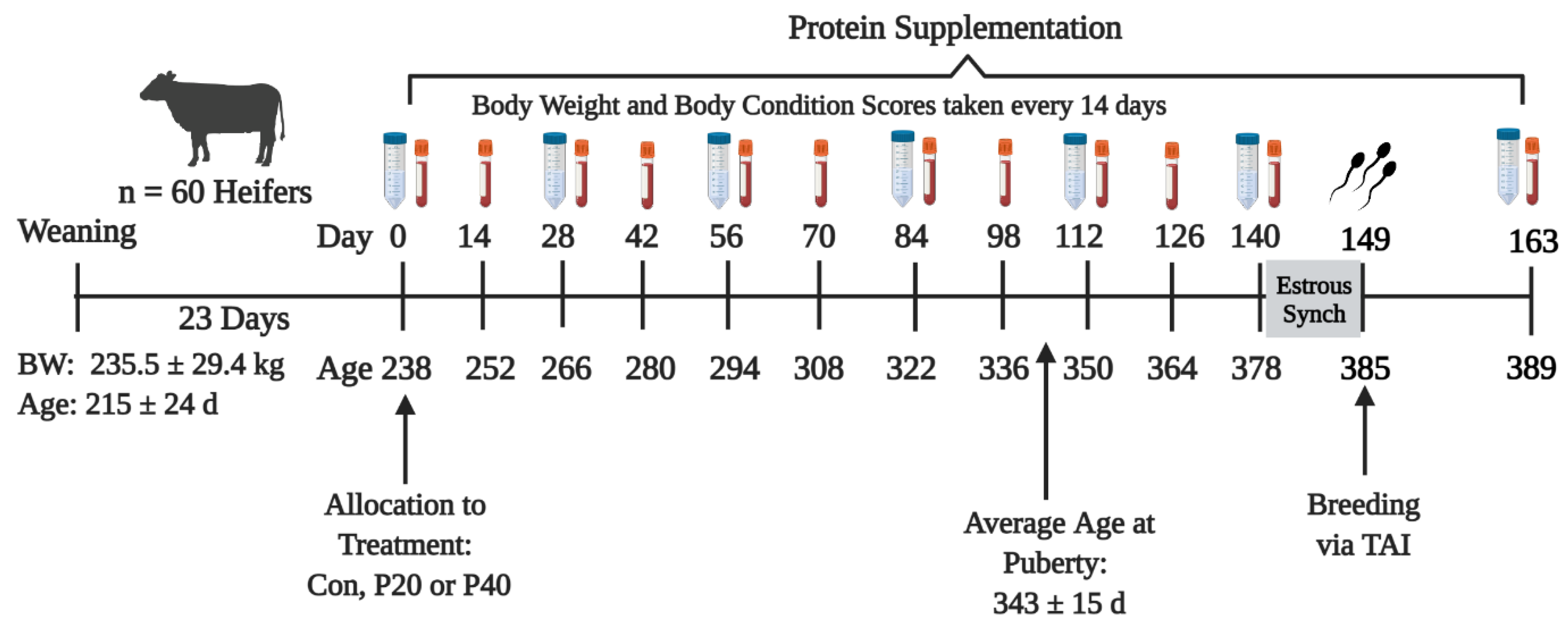 Animals 13 01995 g001 Animals 13 01995 g001