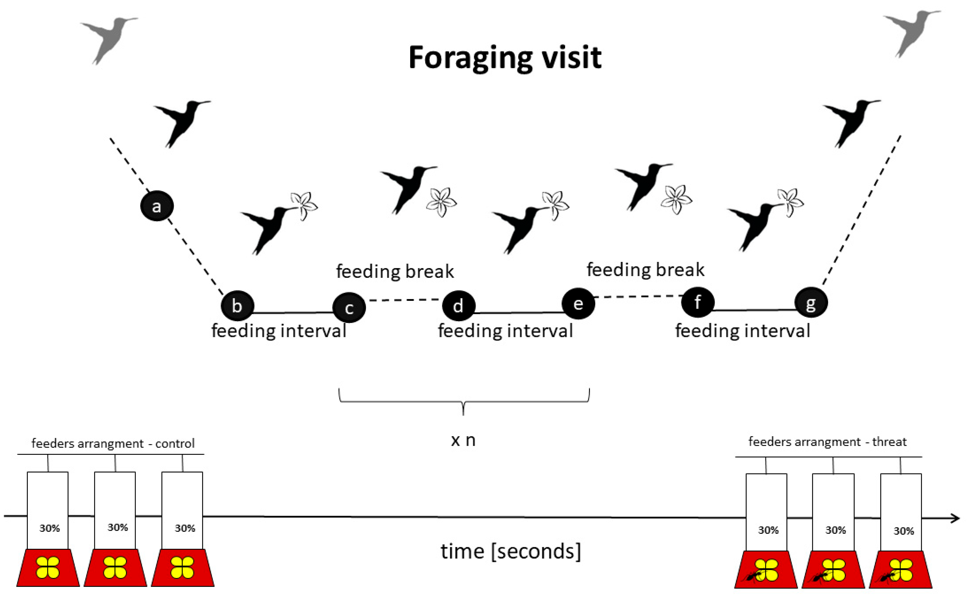 Animals 13 01997 g001 Animals 13 01997 g001