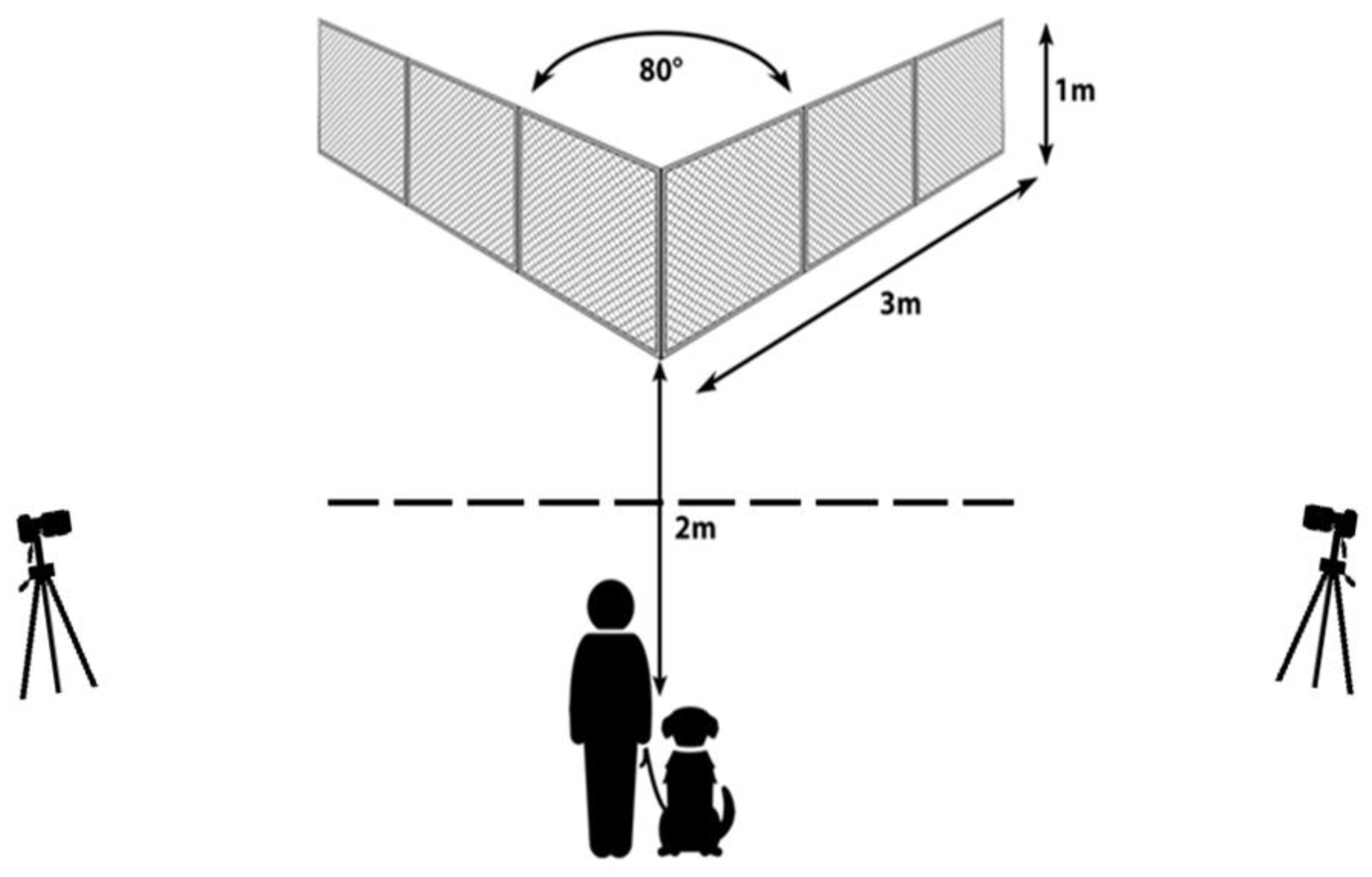 Animals 13 02001 g001 Animals 13 02001 g001