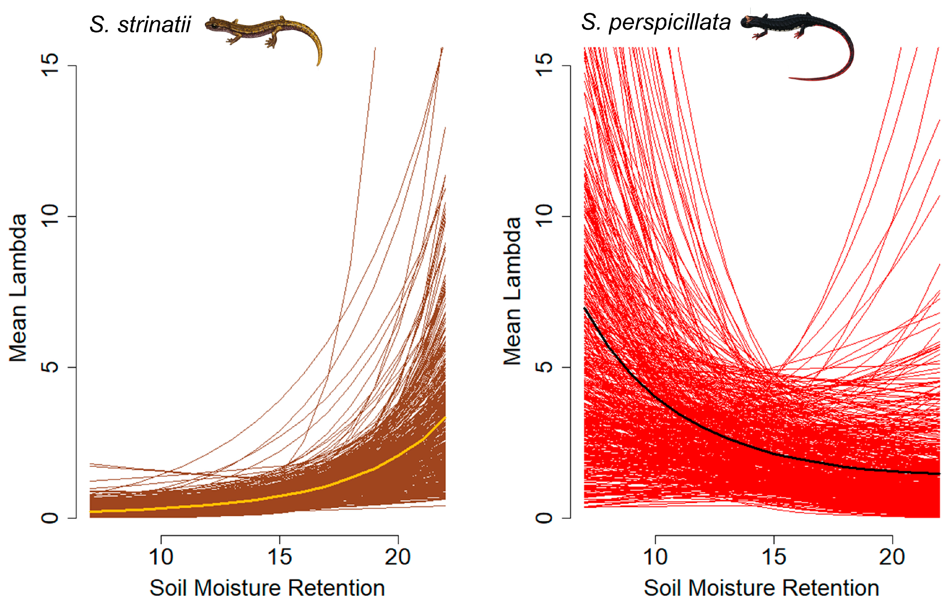 Animals 13 02003 g001 Animals 13 02003 g001