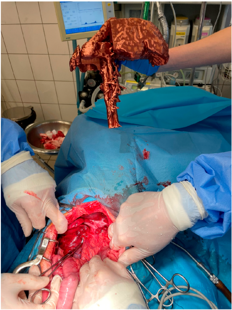 Animals 13 02004 g001