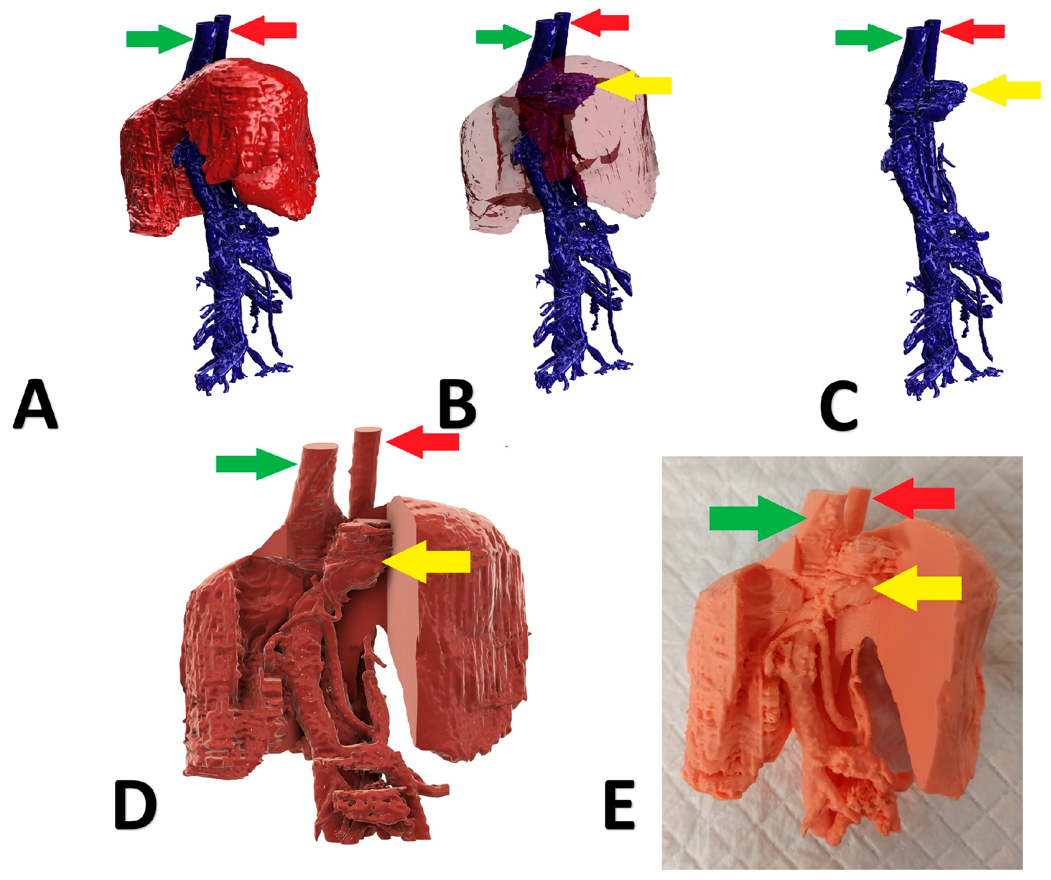 Animals 13 02004 g003
