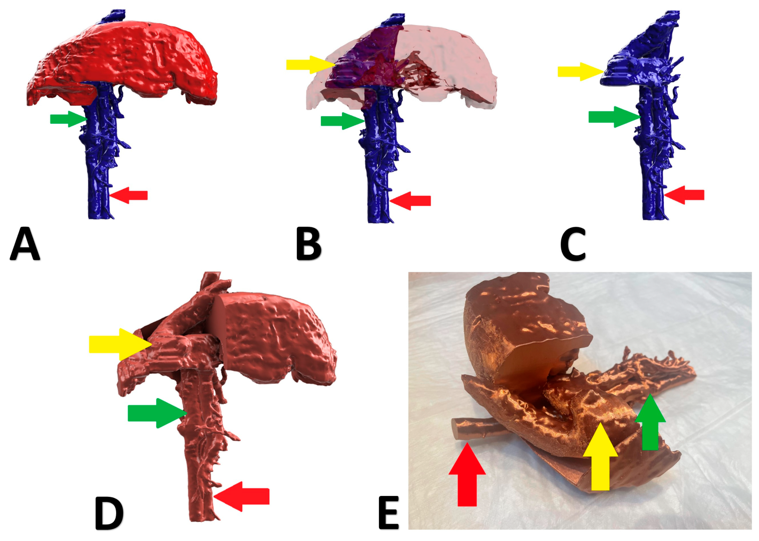 Animals 13 02004 g005