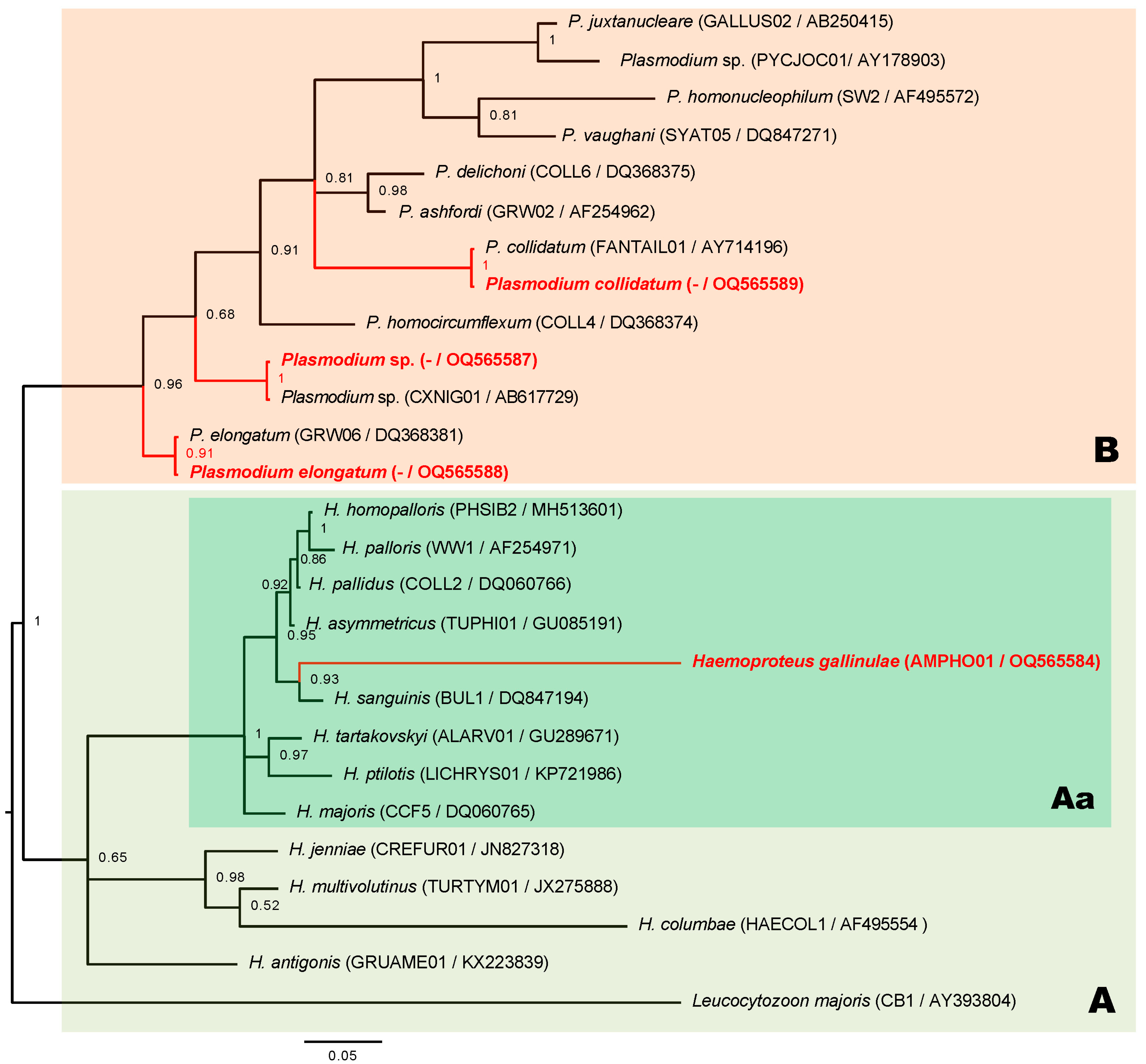 Animals 13 02006 g002 Animals 13 02006 g002