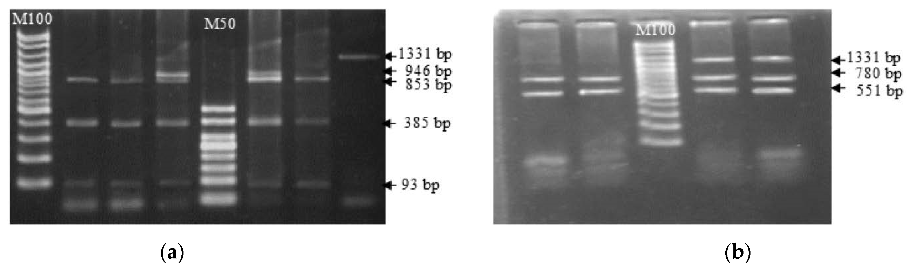 Animals 13 02012 g003