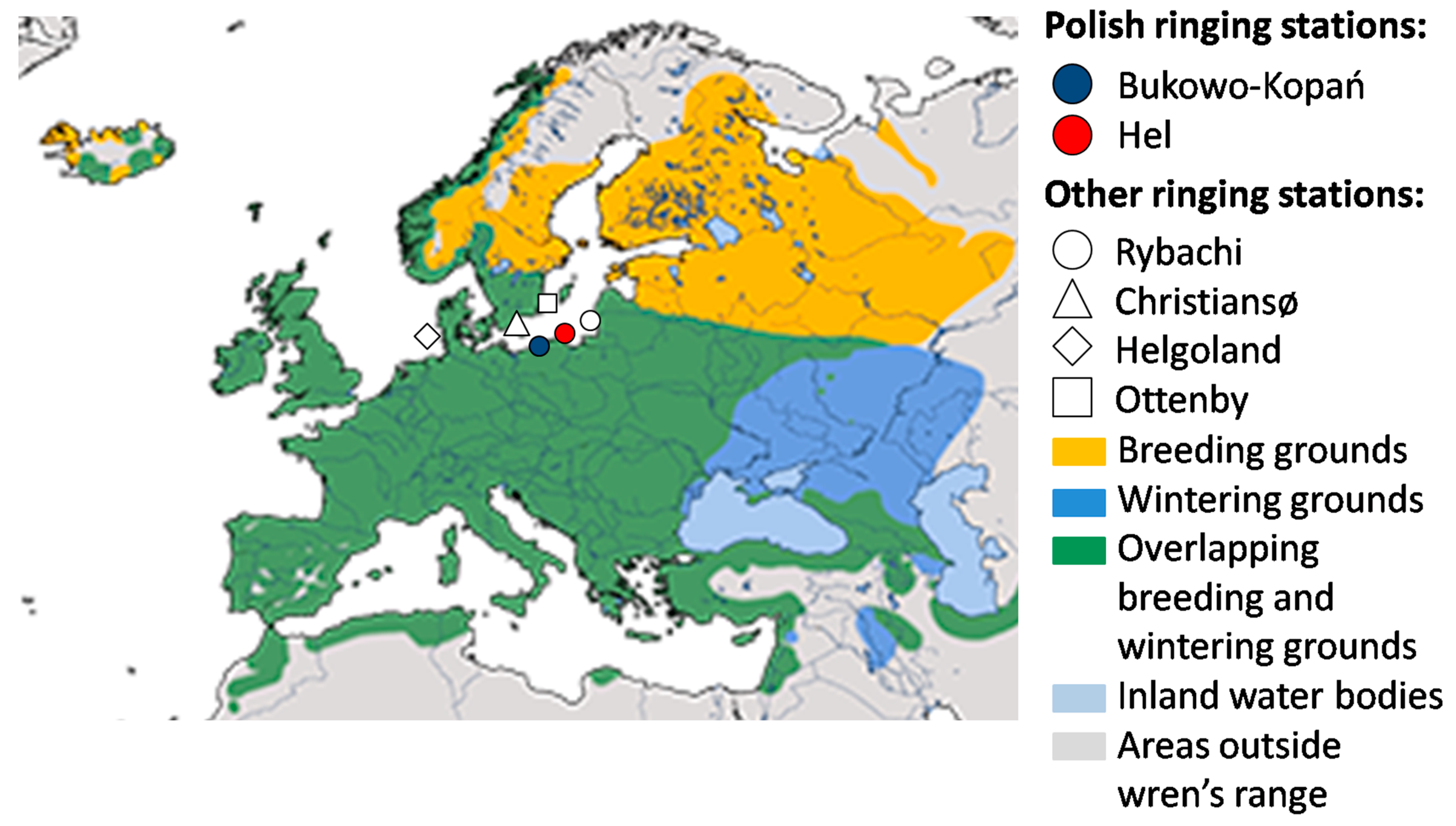 Animals 13 02015 g001