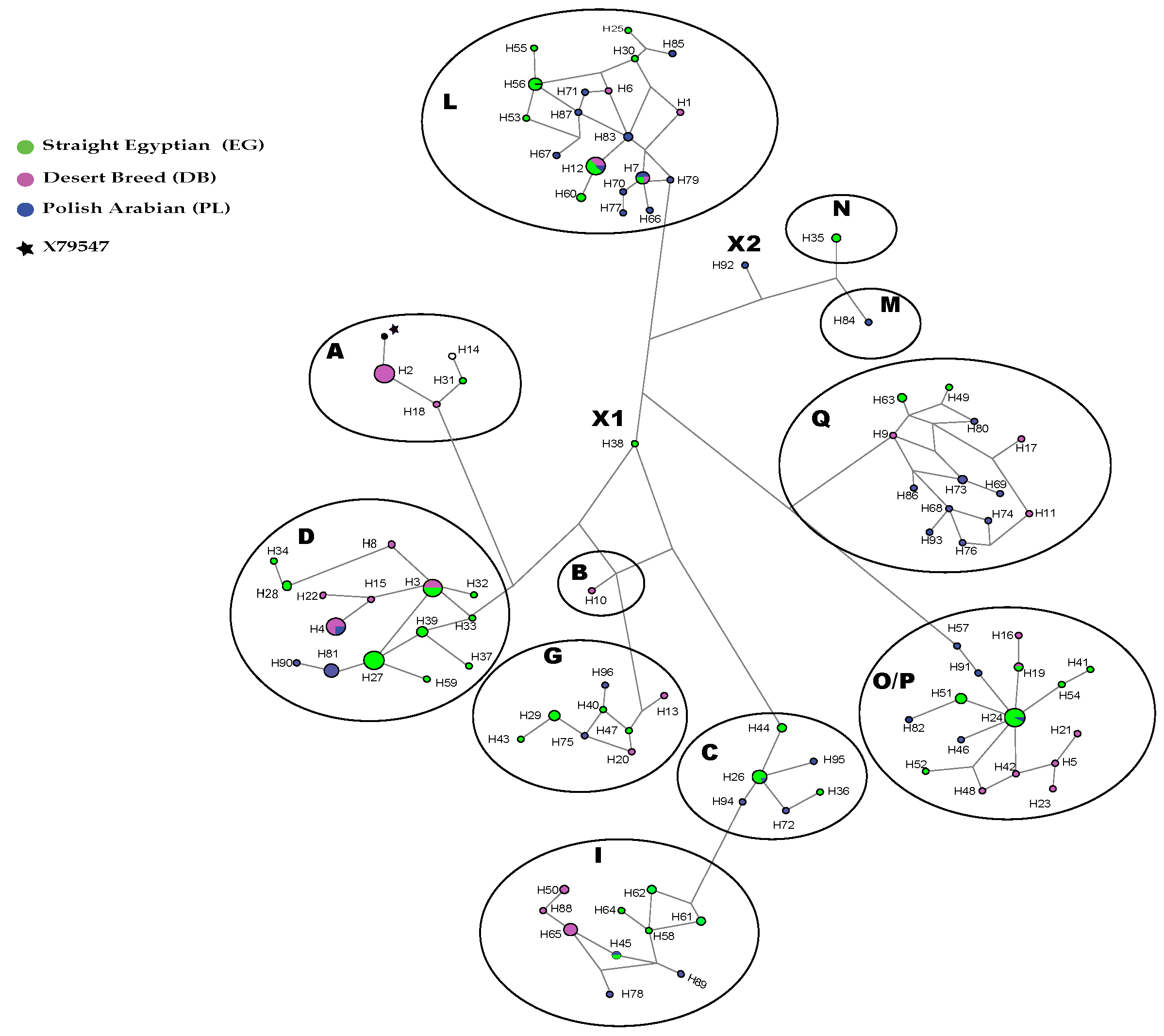 Animals 13 02021 g001