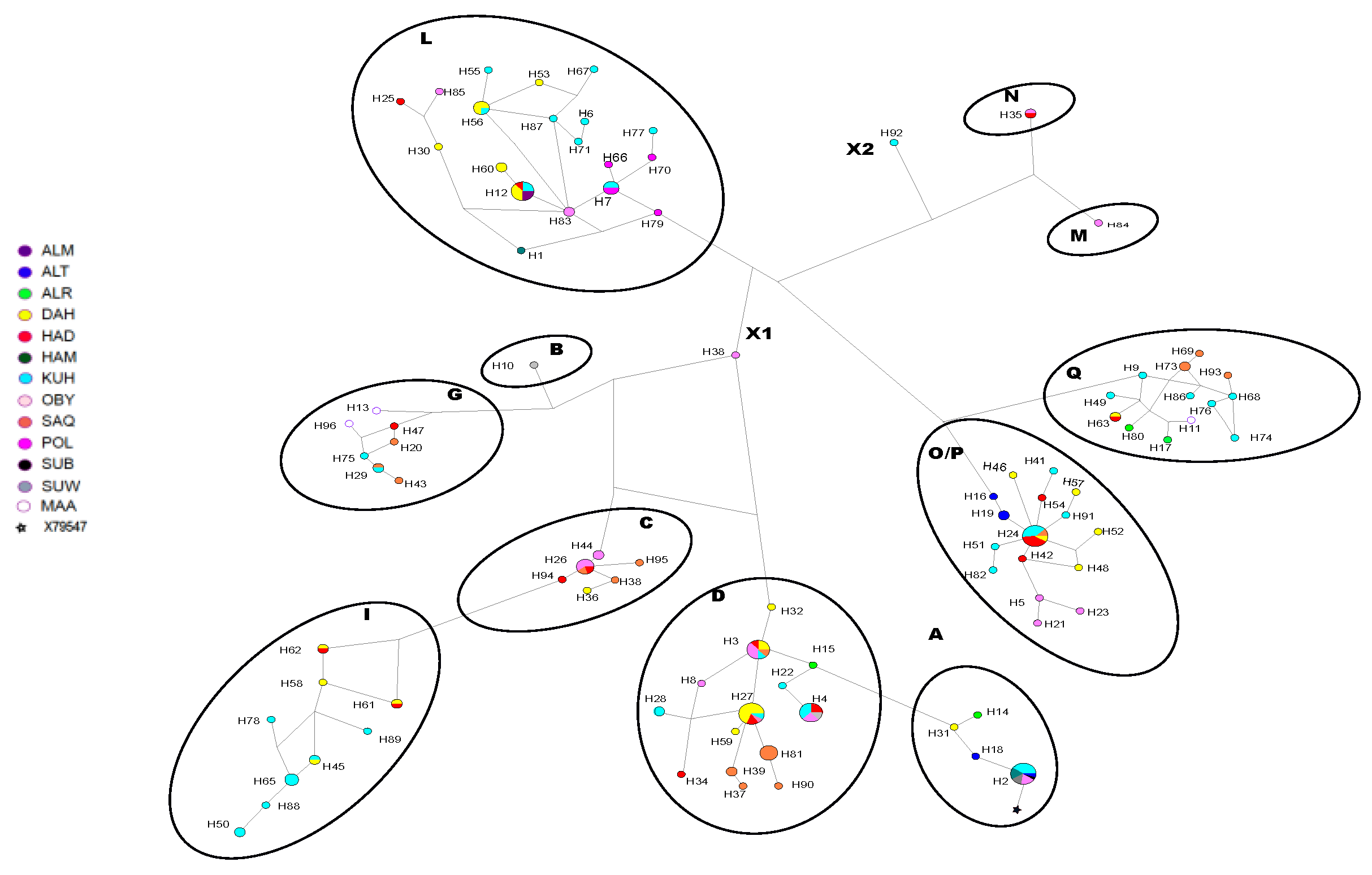 Animals 13 02021 g002