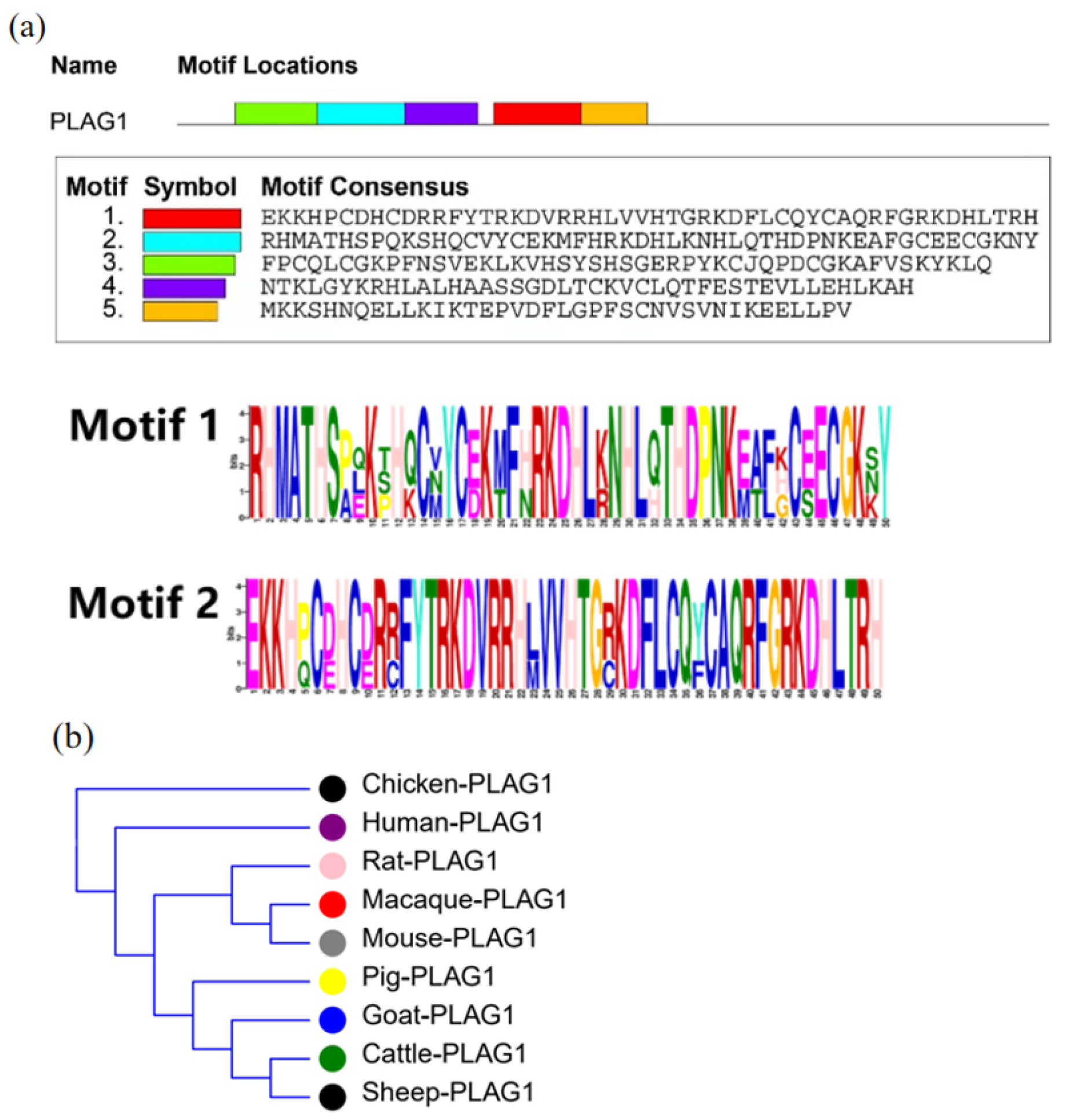 Animals 13 02023 g001 Animals 13 02023 g001