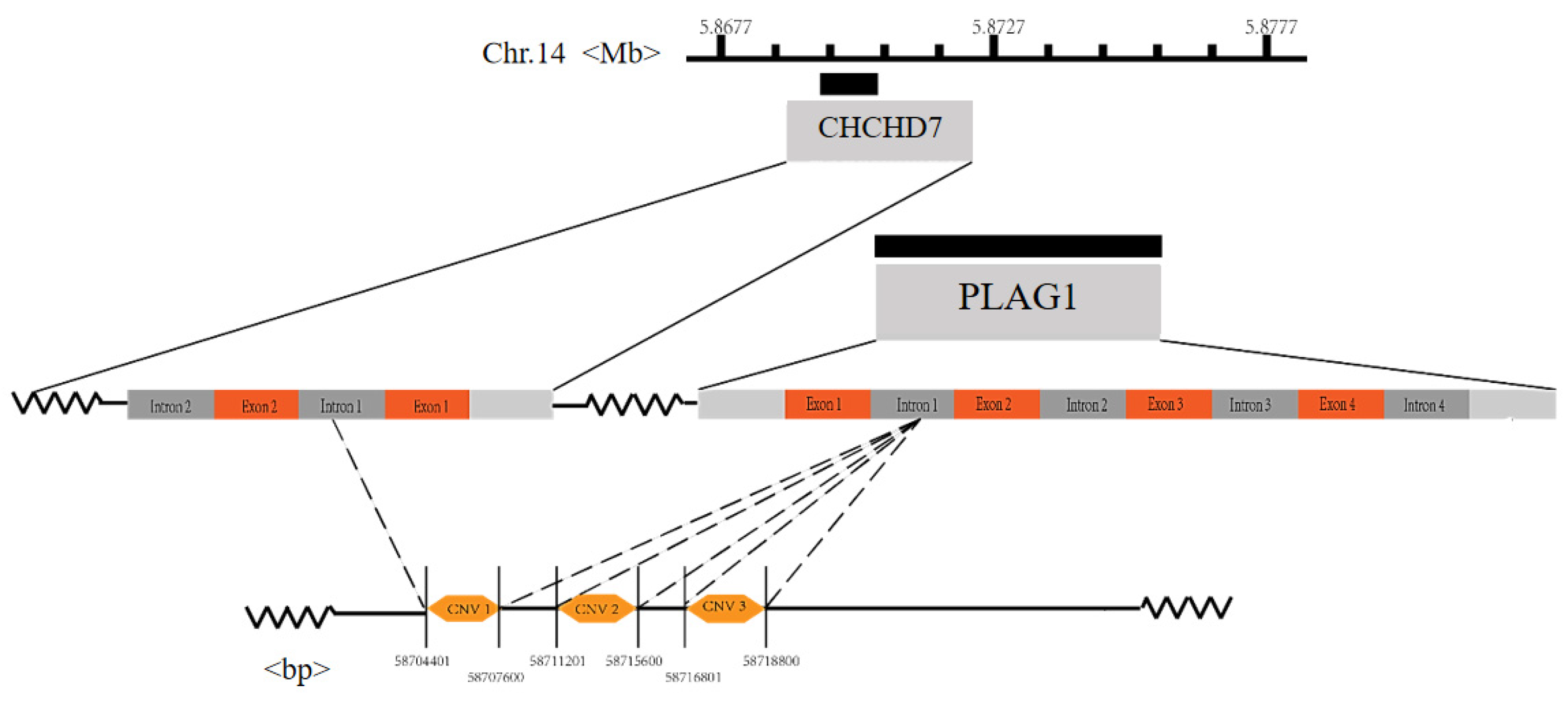 Animals 13 02023 g003 Animals 13 02023 g003