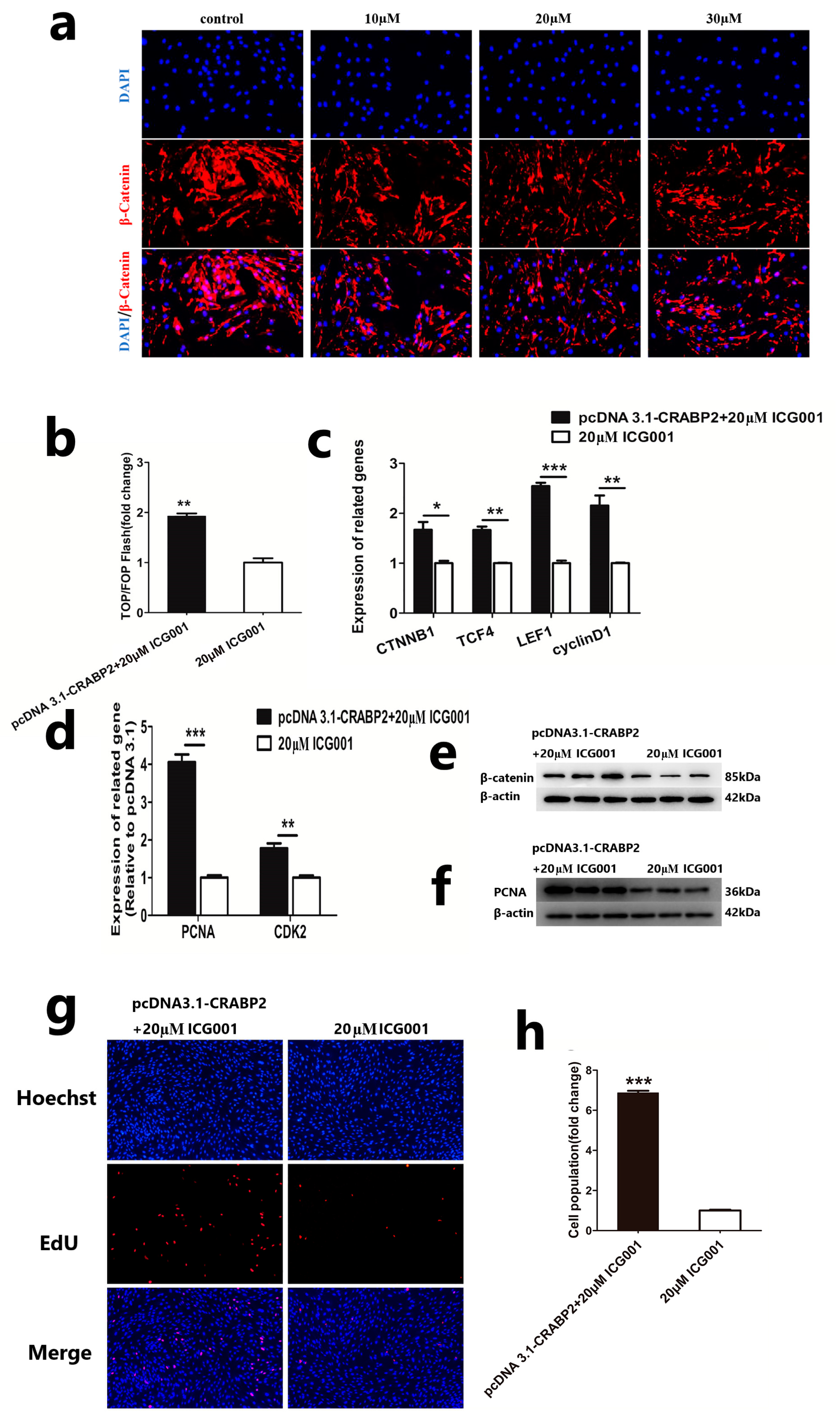 Animals 13 02033 g003 Animals 13 02033 g003