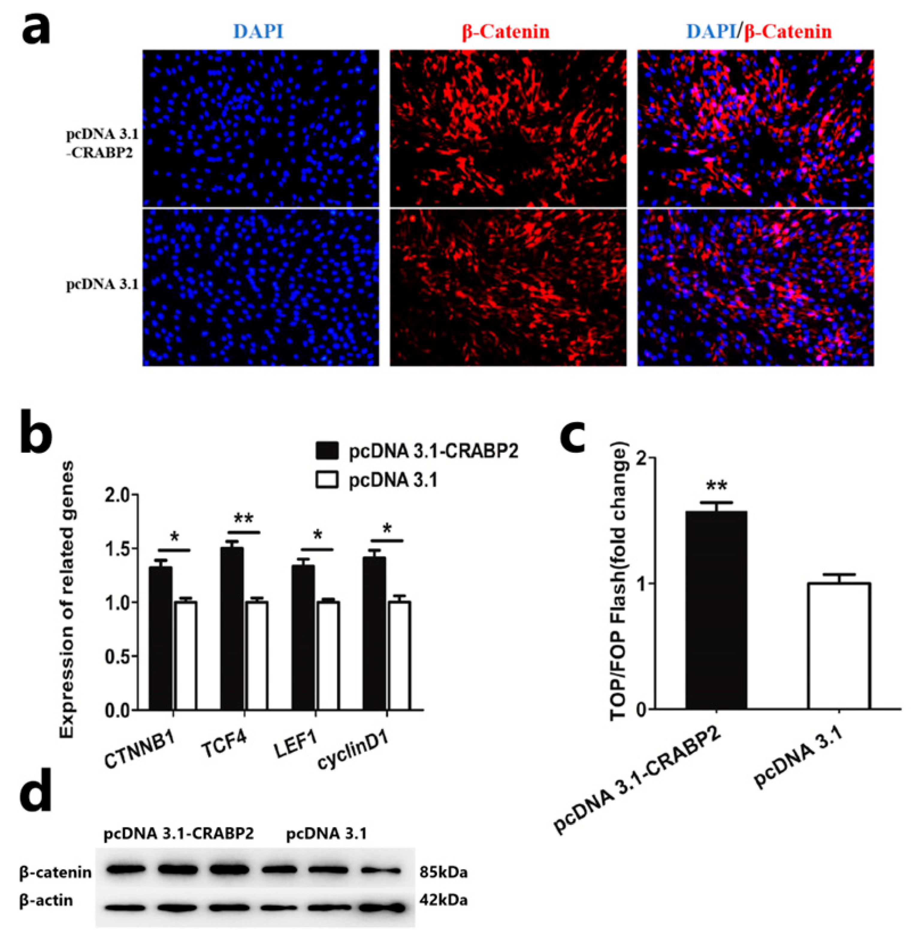 Animals 13 02033 g004 Animals 13 02033 g004