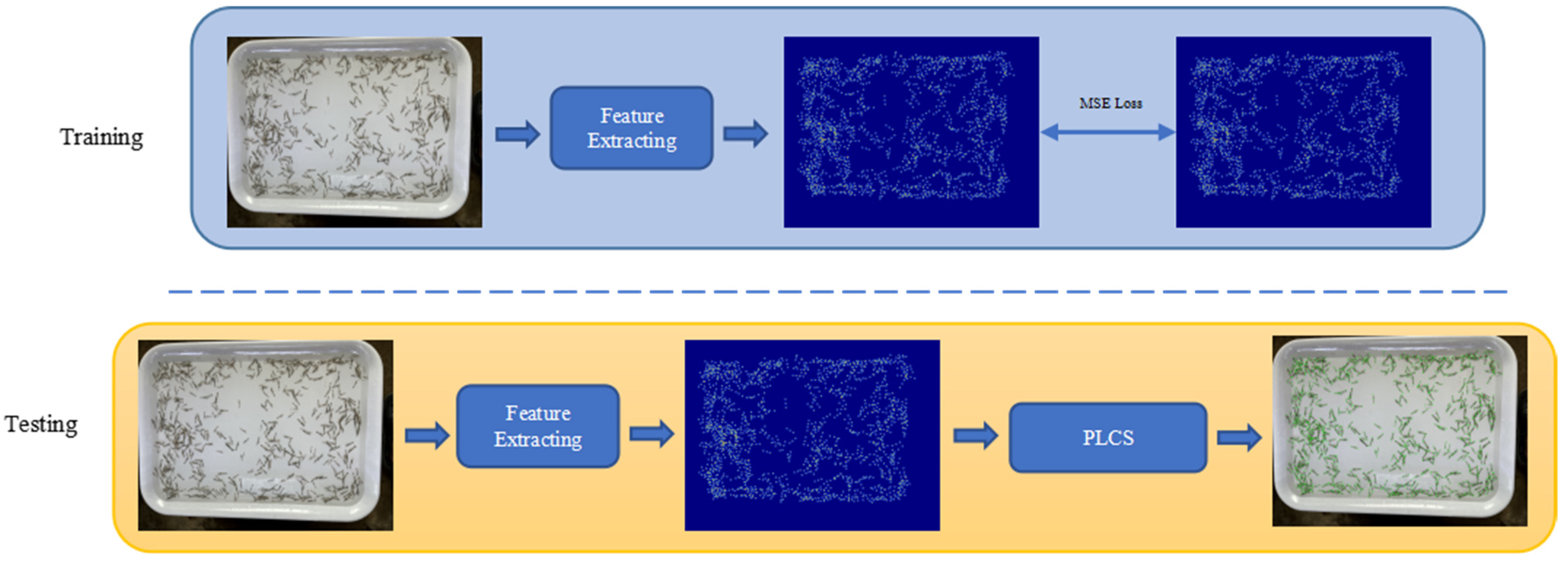 Animals 13 02036 g003