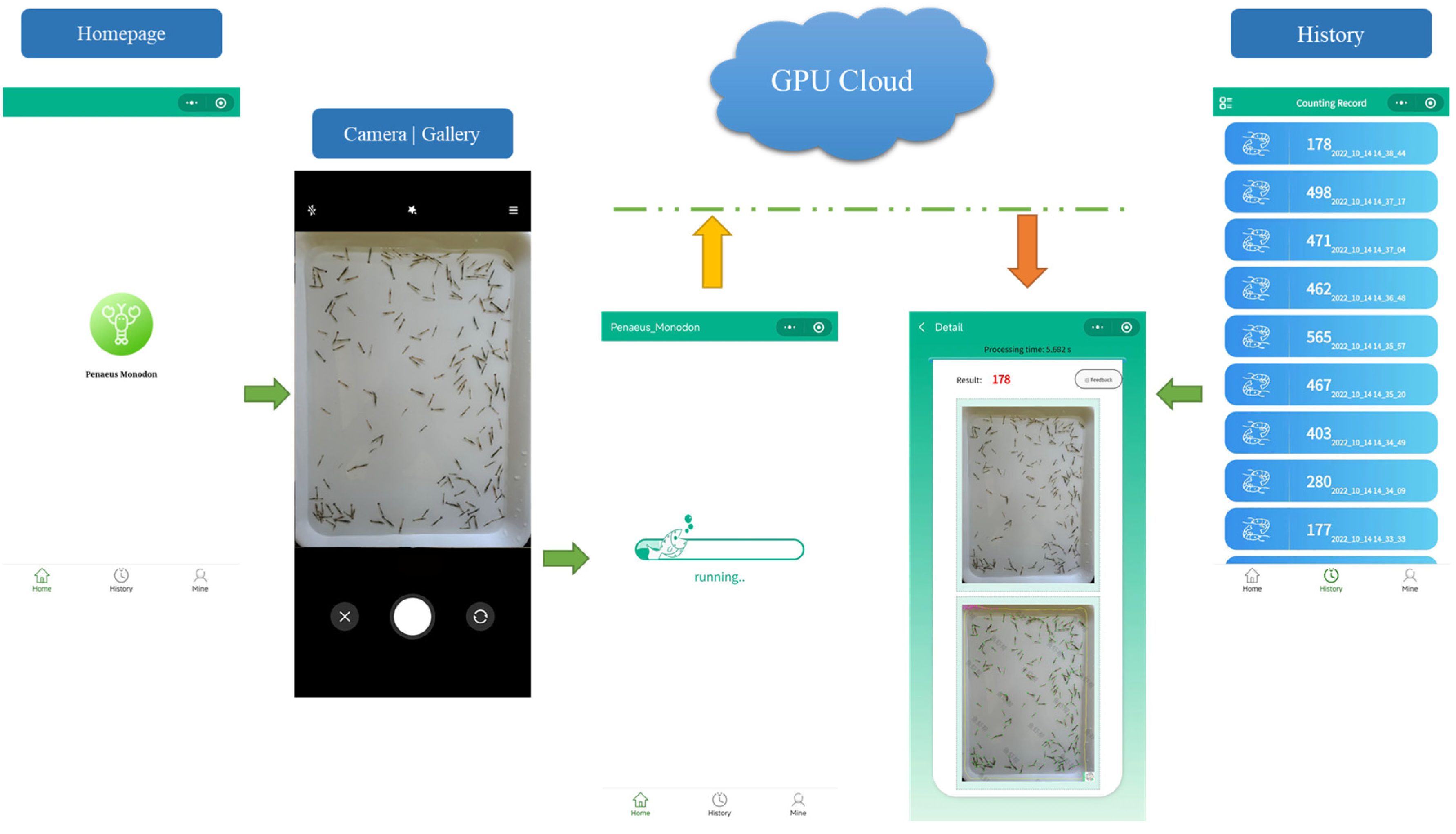 Animals 13 02036 g006