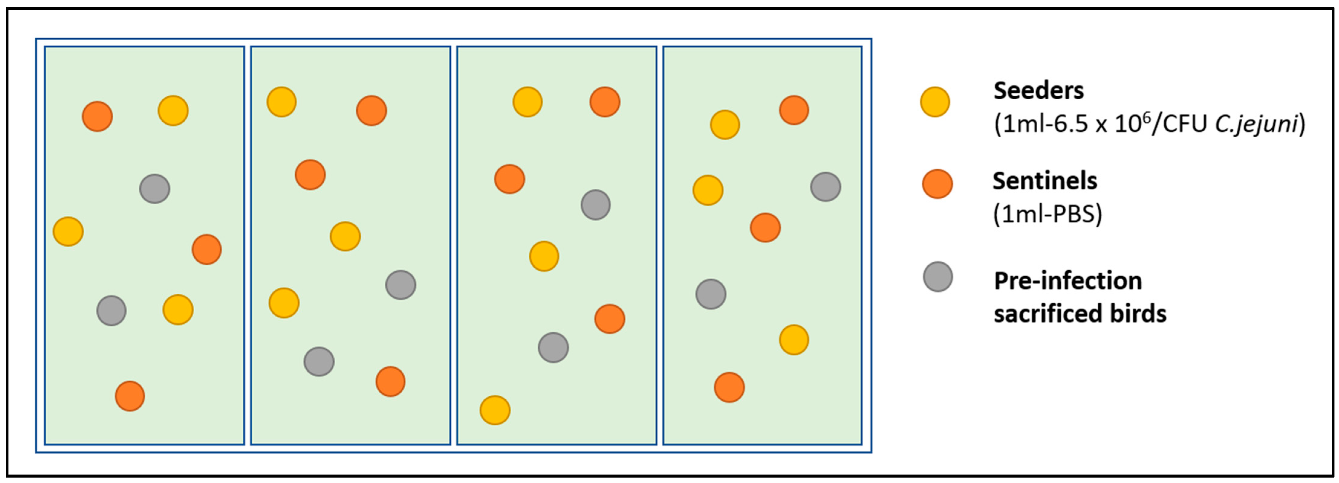 Animals 13 02037 g002