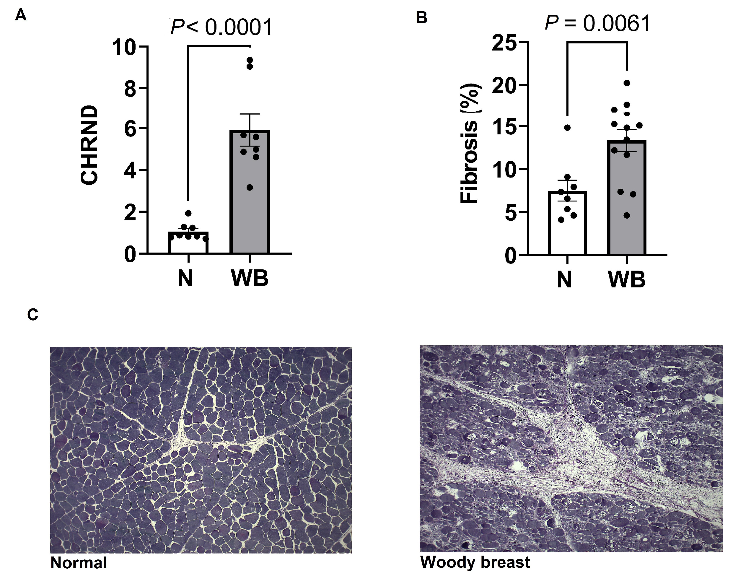 Animals 13 02038 g002 Animals 13 02038 g002