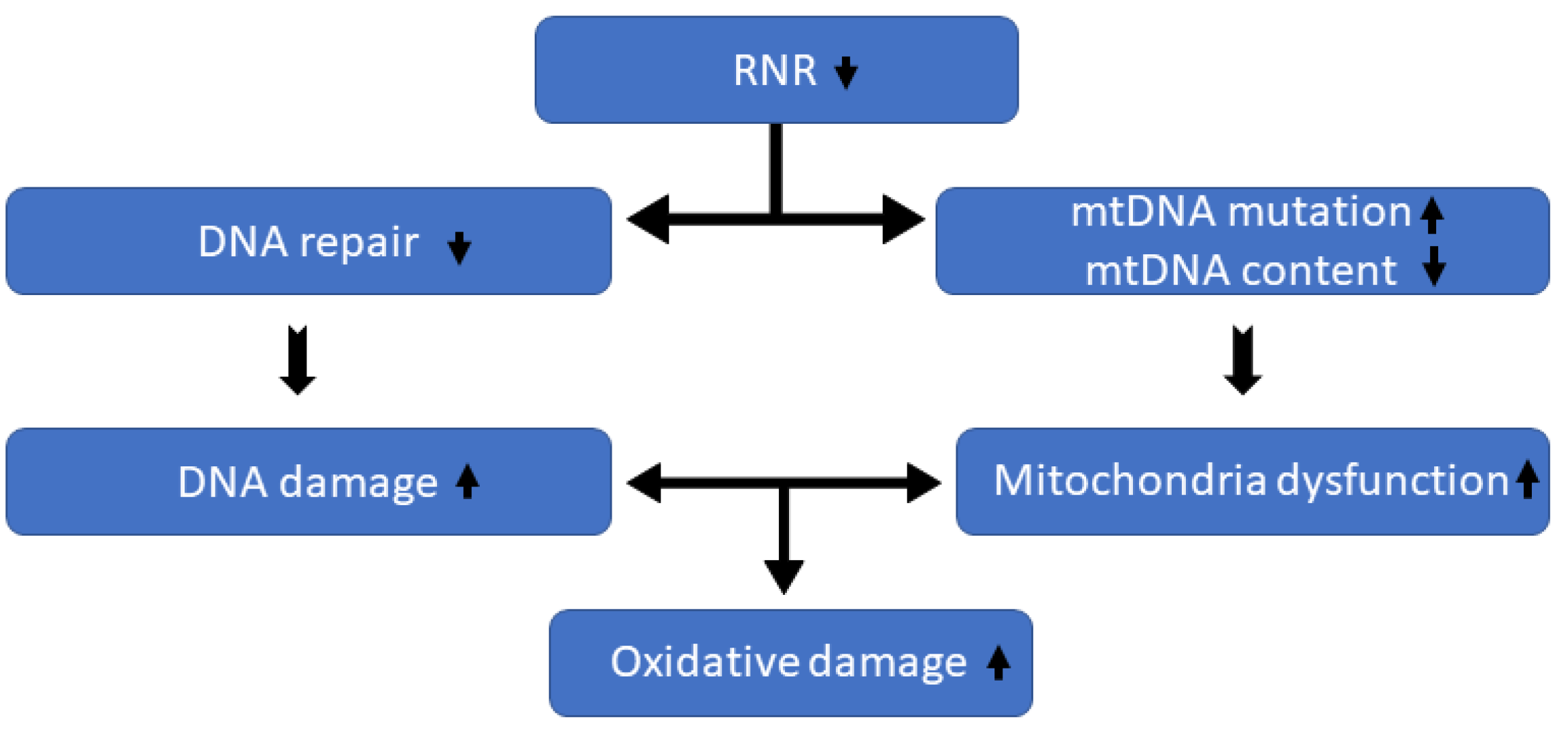 Animals 13 02038 g003 Animals 13 02038 g003