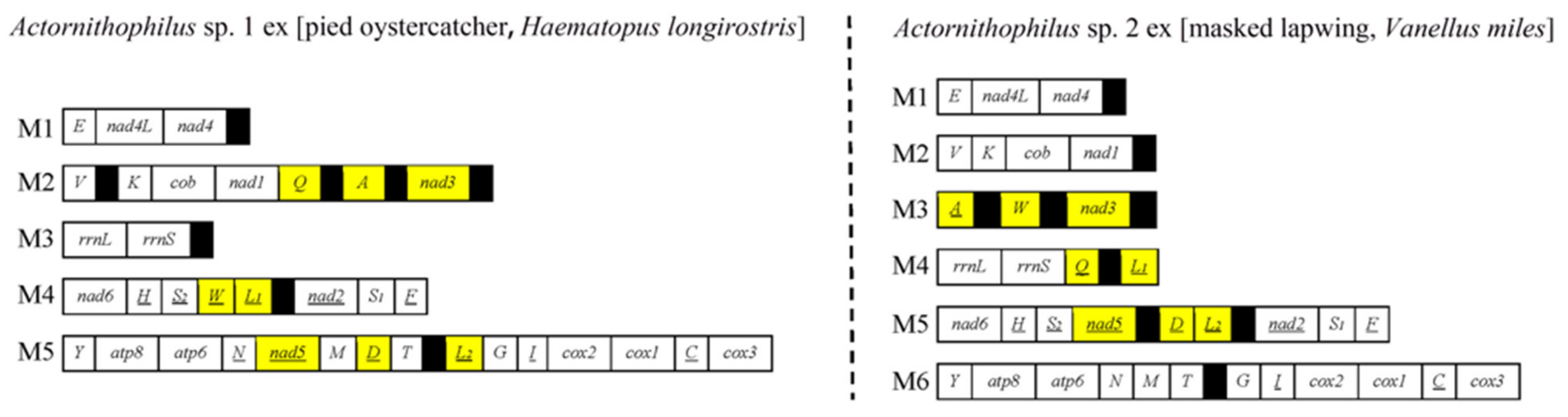 Animals 13 02046 g002 Animals 13 02046 g002