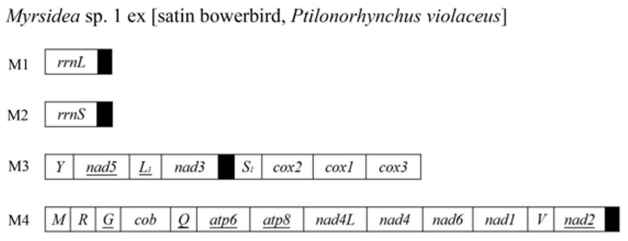 Animals 13 02046 g003 Animals 13 02046 g003