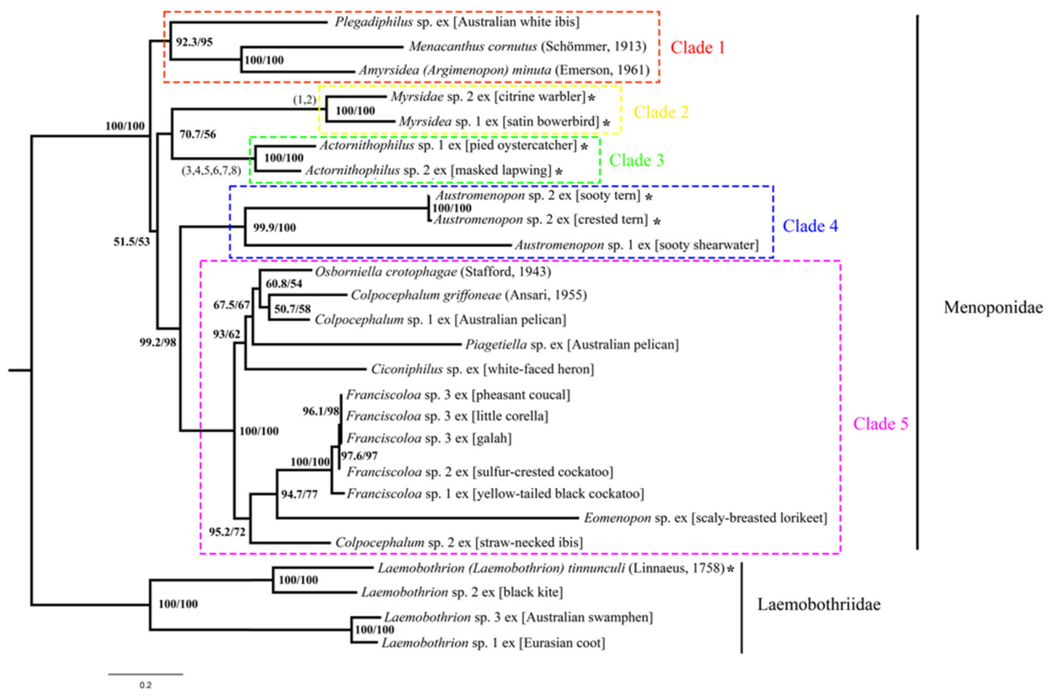 Animals 13 02046 g004 Animals 13 02046 g004