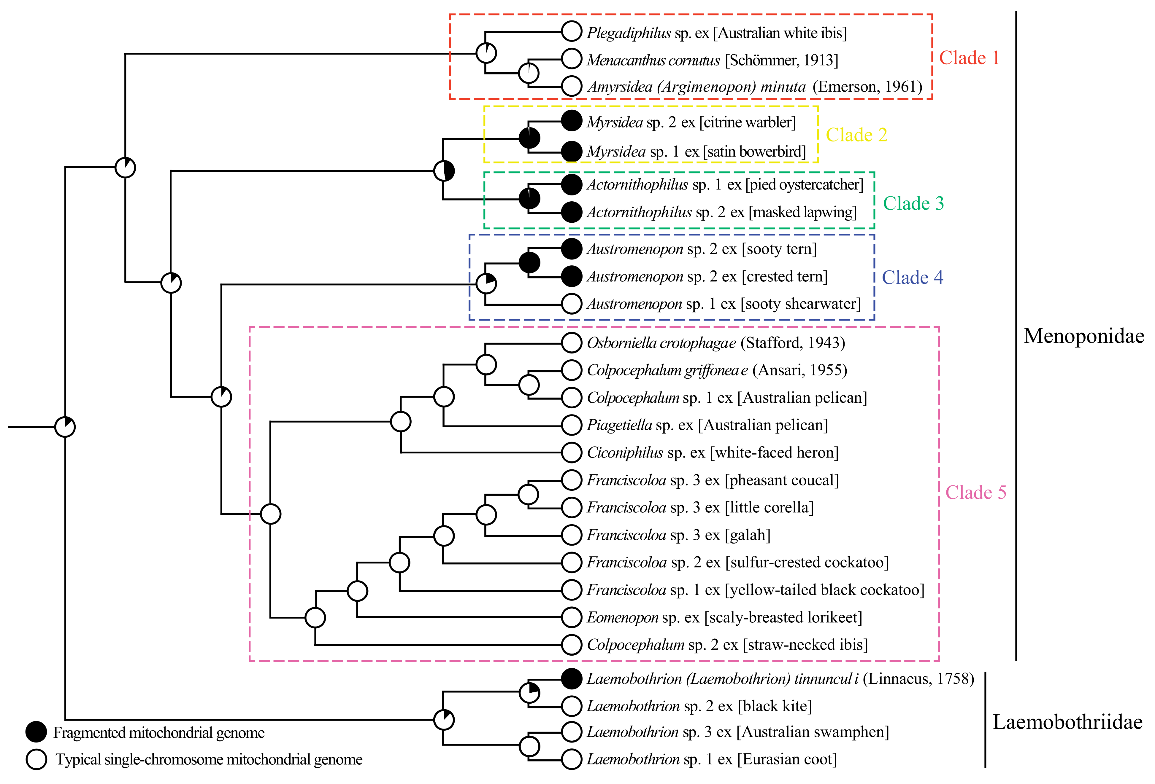 Animals 13 02046 g006 Animals 13 02046 g006